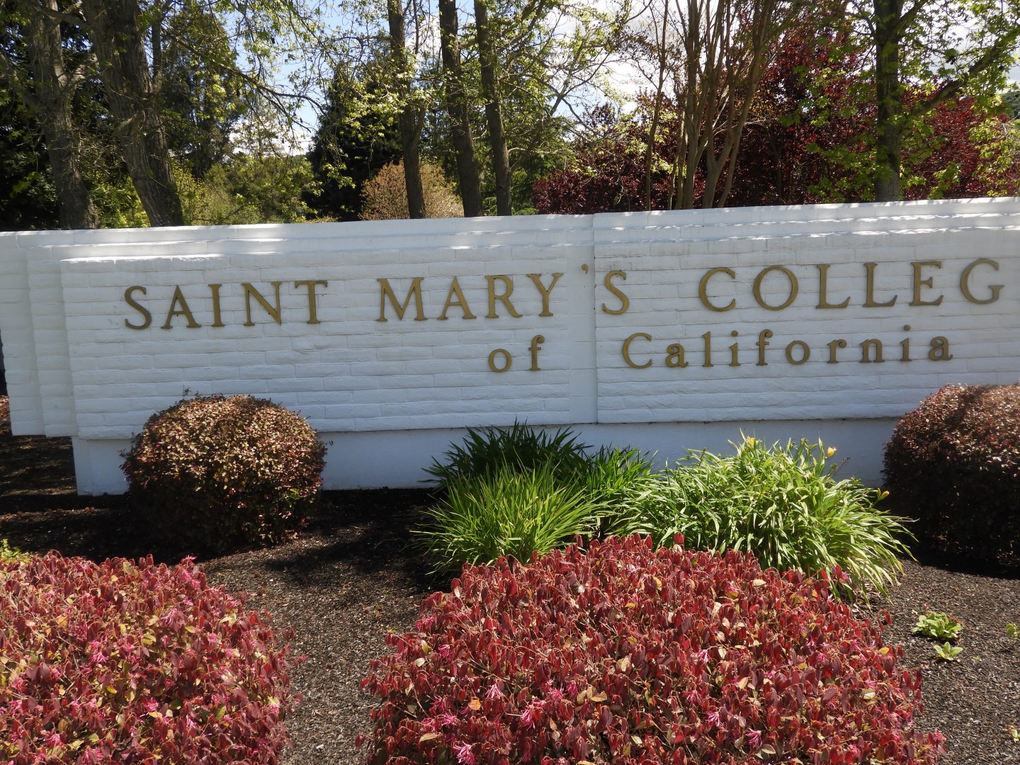 College of St. Marys of California  2 of  3 (#3201)