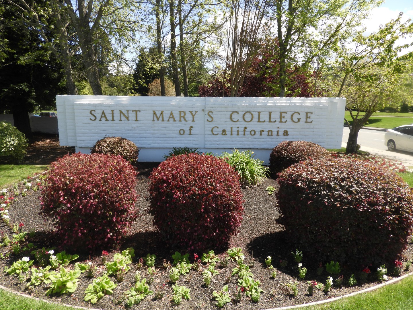 College of St. Marys of California  3 of  3 (#3202)