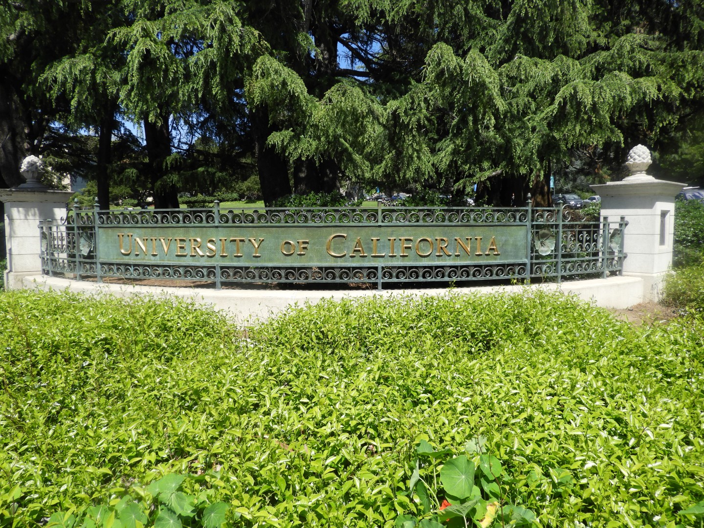 University of California in Berkeley  1 of  4 (#3205)
