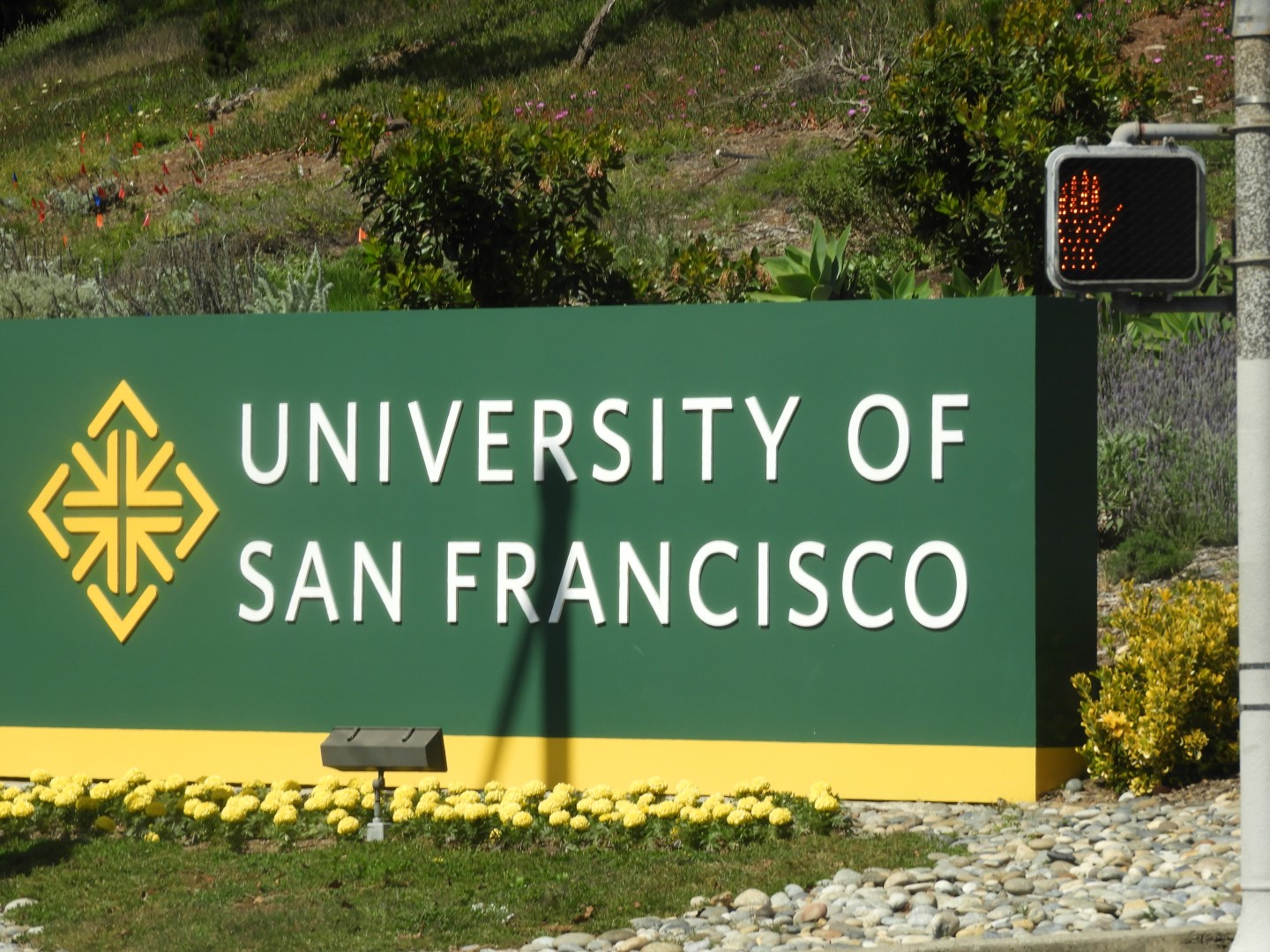 University of San Francisco  2 of  3 (#3218)