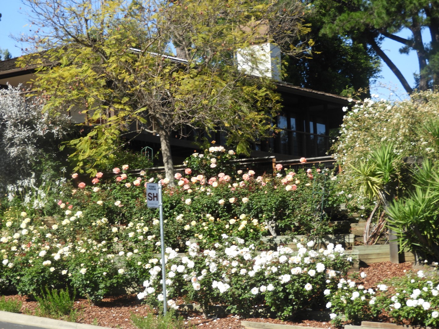 Landscaping of one home near the Hoover home  1 of  2 (#3234)