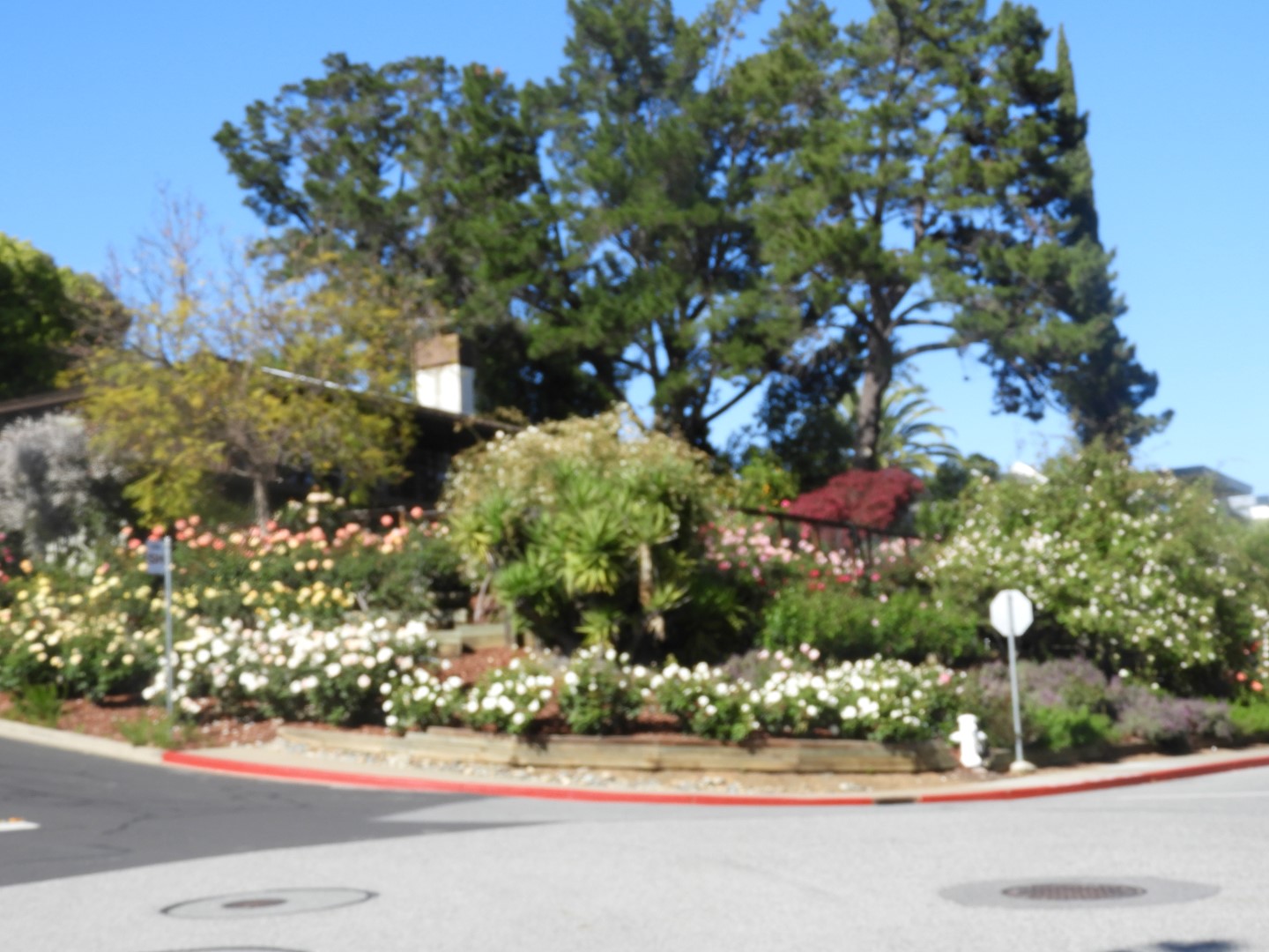 Landscaping of one home near the Hoover home  2 of  2 (#3235)