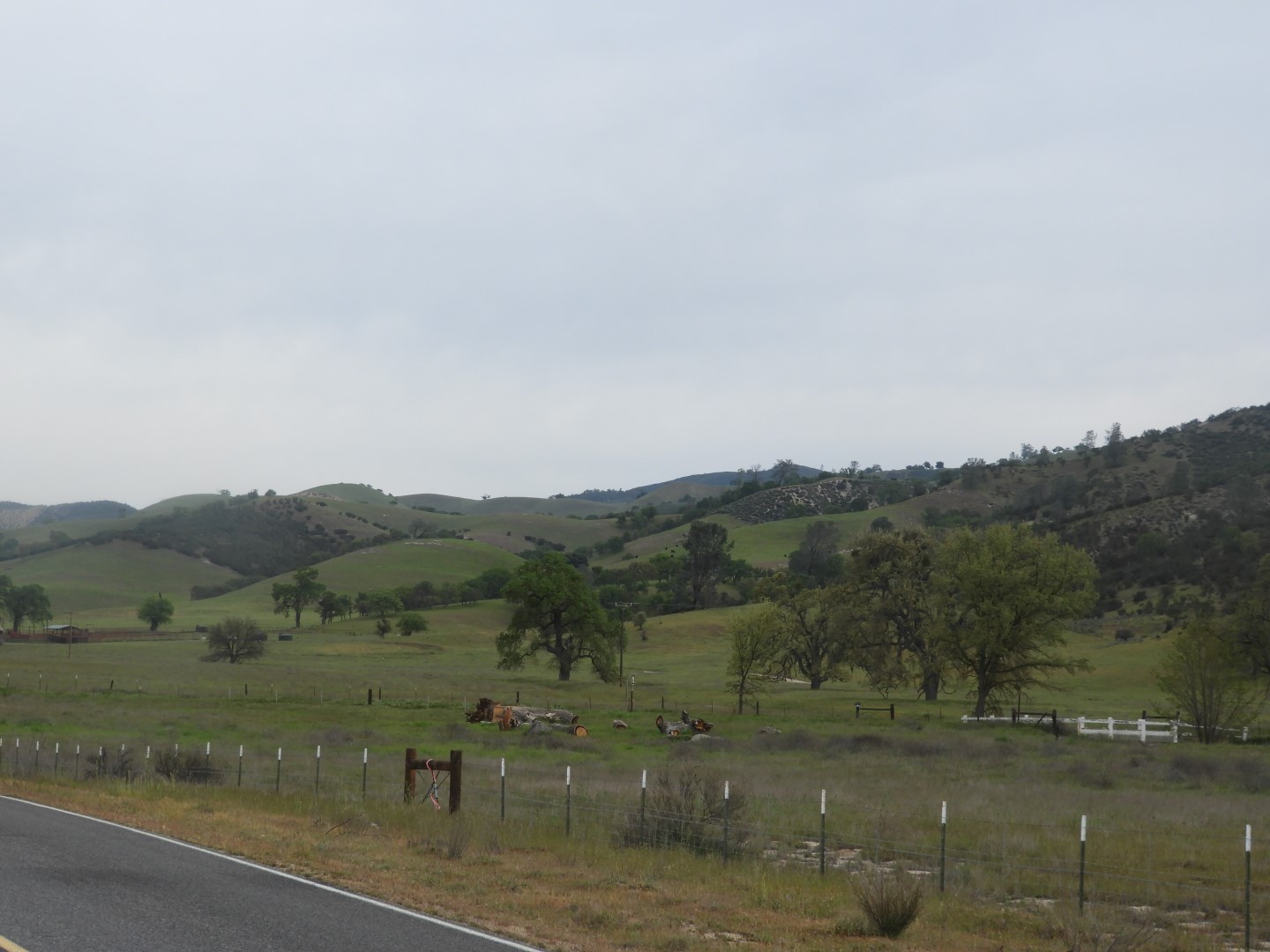 Pinnacles National Park  4 of 15 (#3260)