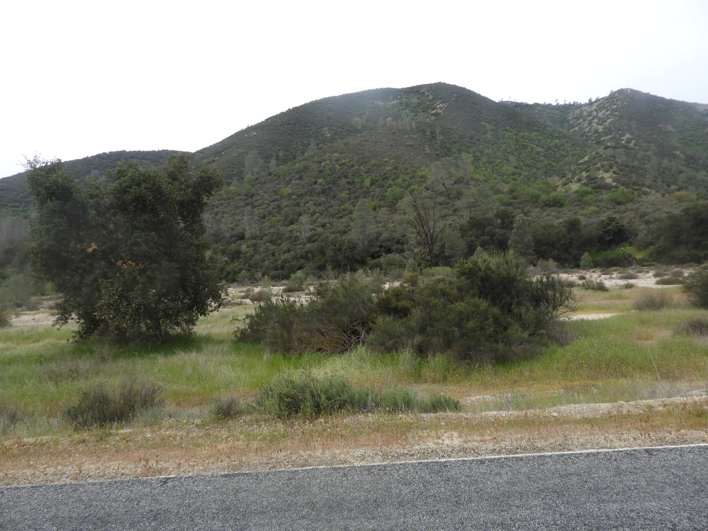 Pinnacles National Park  5 of 15 (#3261)