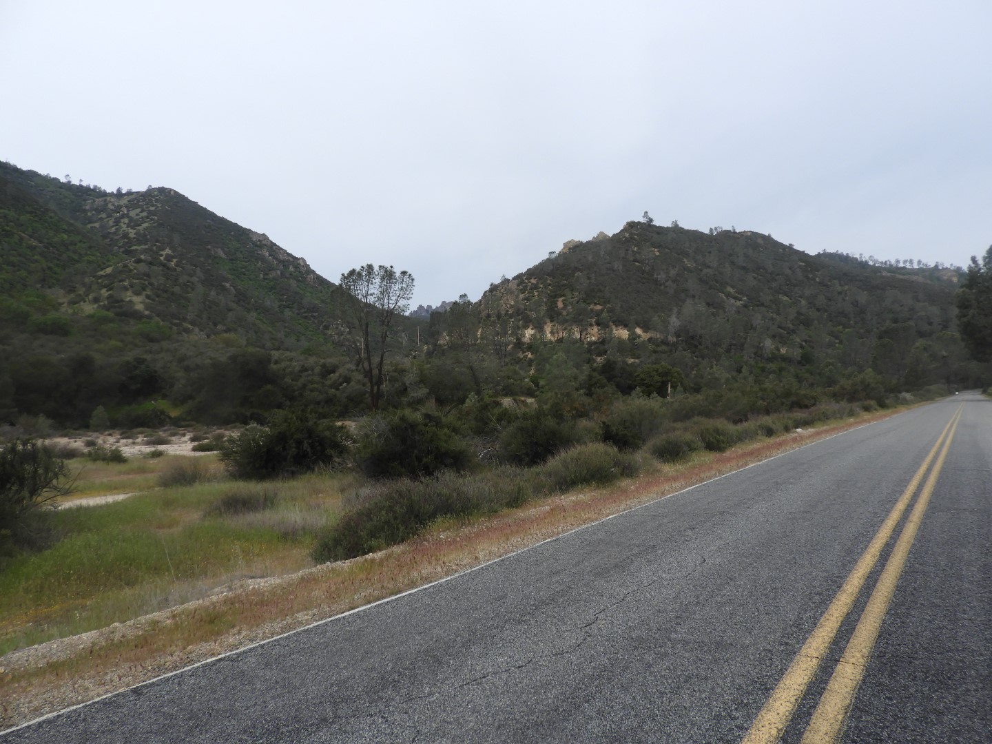 Pinnacles National Park  6 of 15 (#3262)