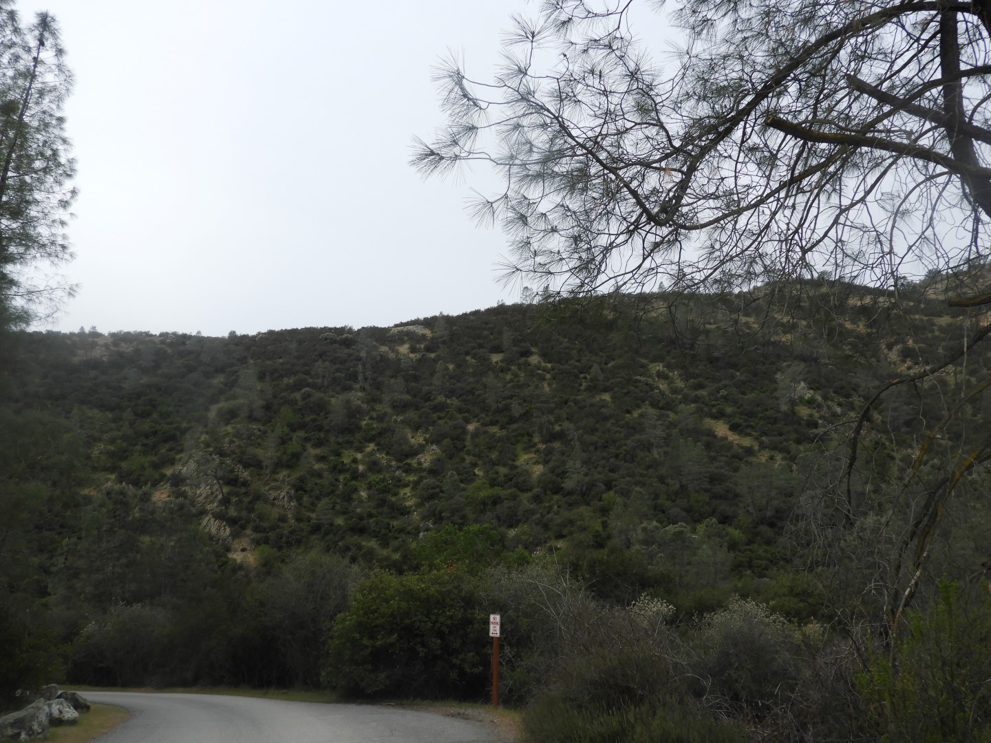 Pinnacles National Park  7 of 15 (#3263)