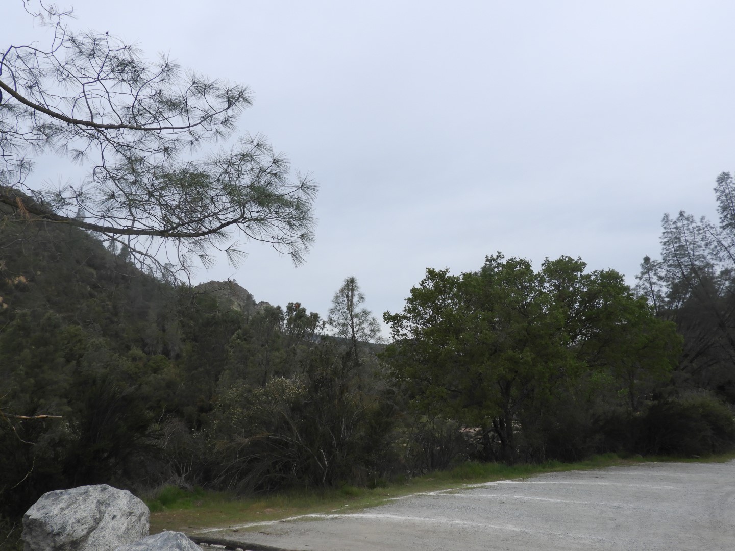 Pinnacles National Park  8 of 15 (#3264)