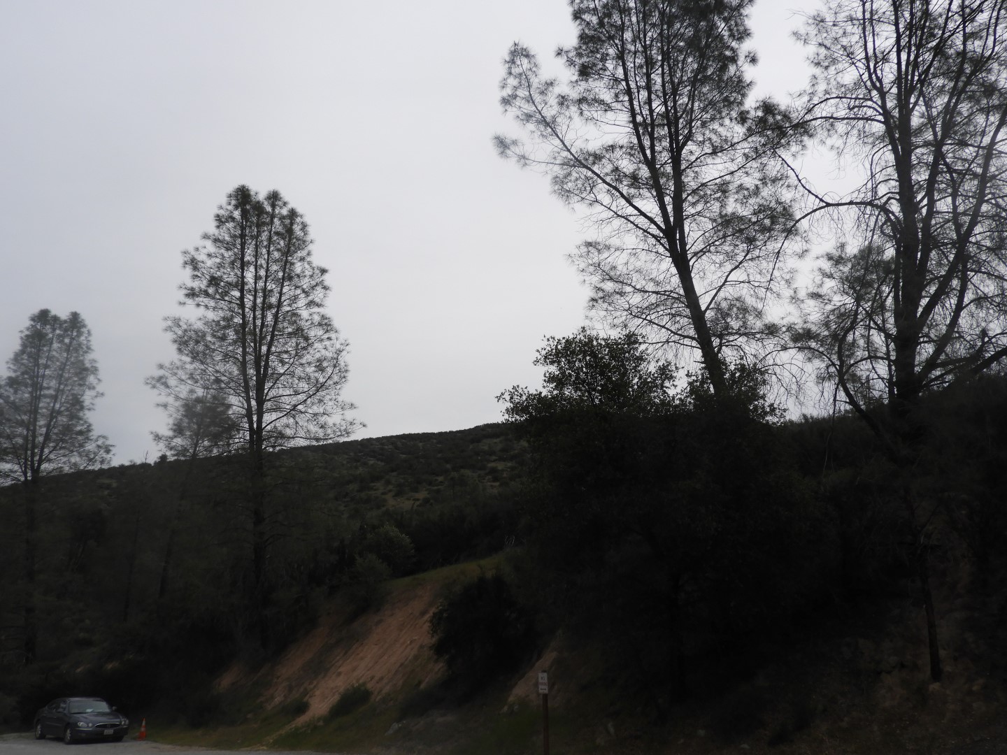 Pinnacles National Park  9 of 15 (#3265)