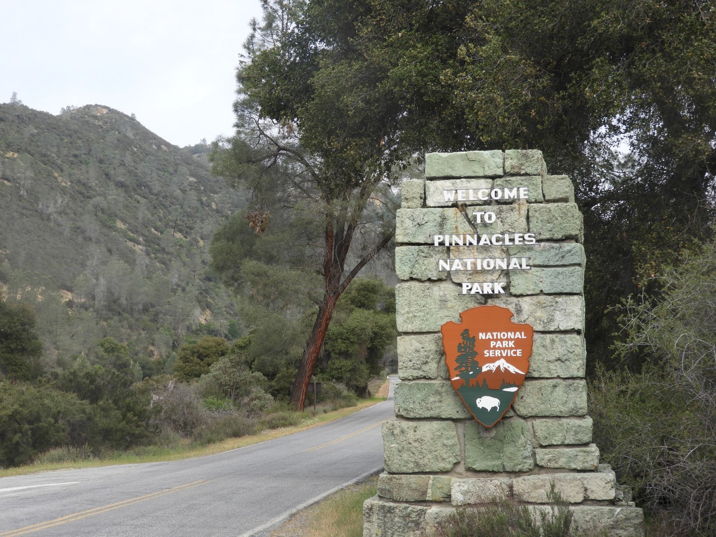 Pinnacles National Park 12 of 15 (#3268)