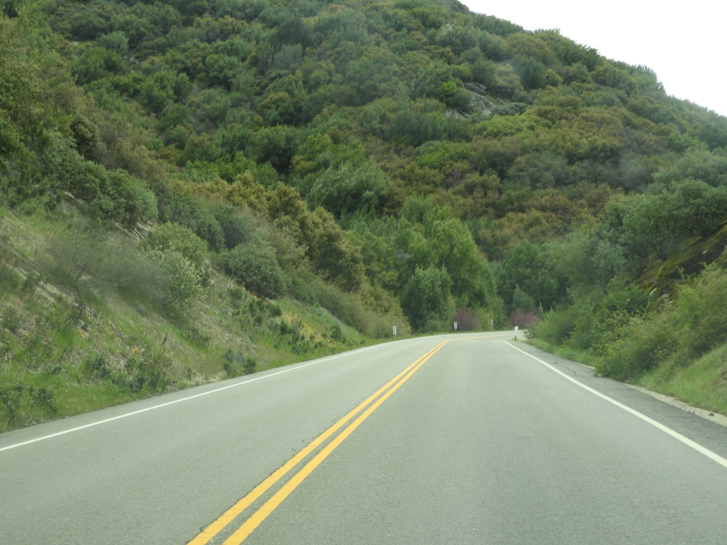 KIngs Canyon  2 of 15 (#3302)