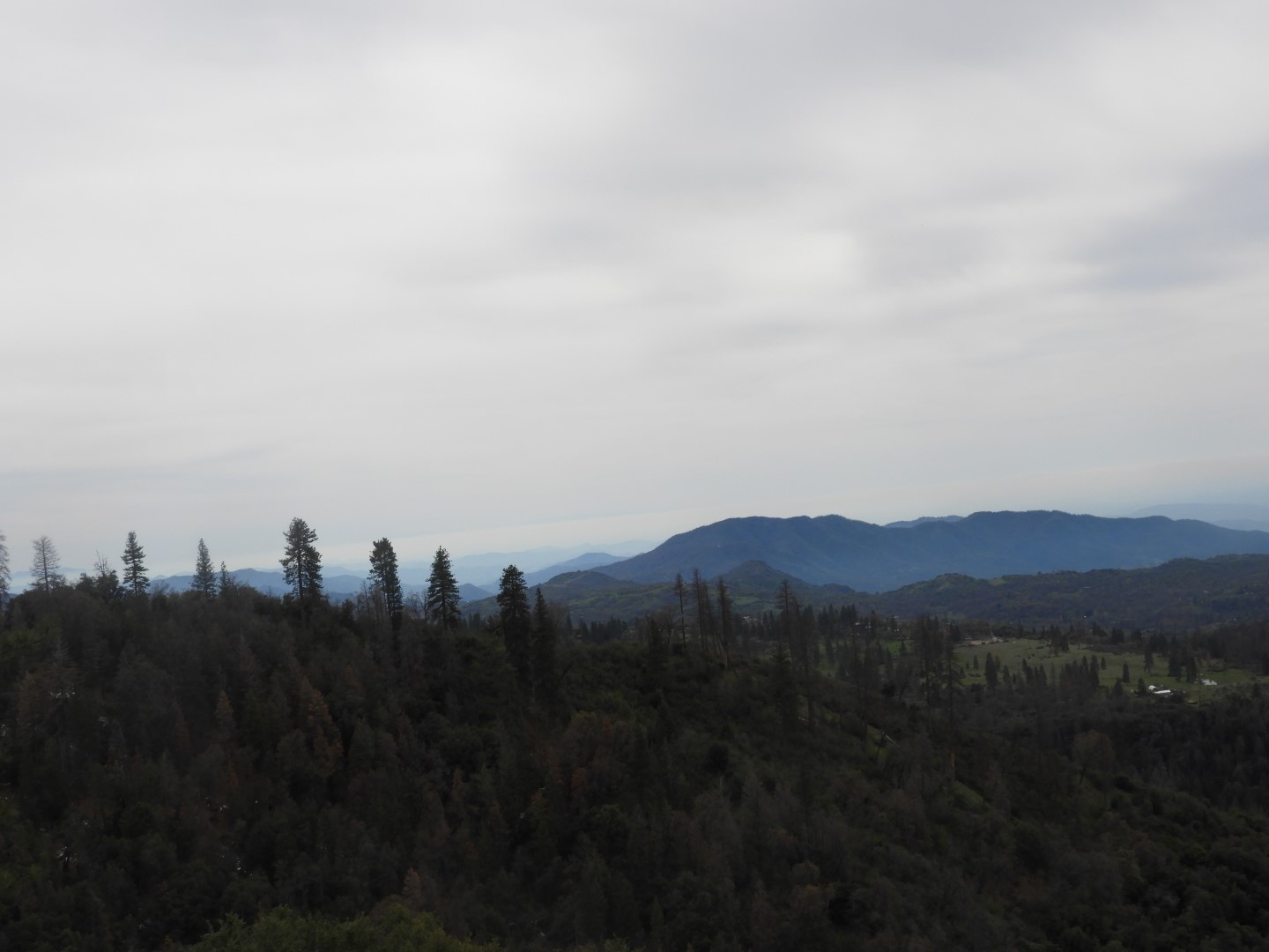 KIngs Canyon  5 of 15 (#3305)