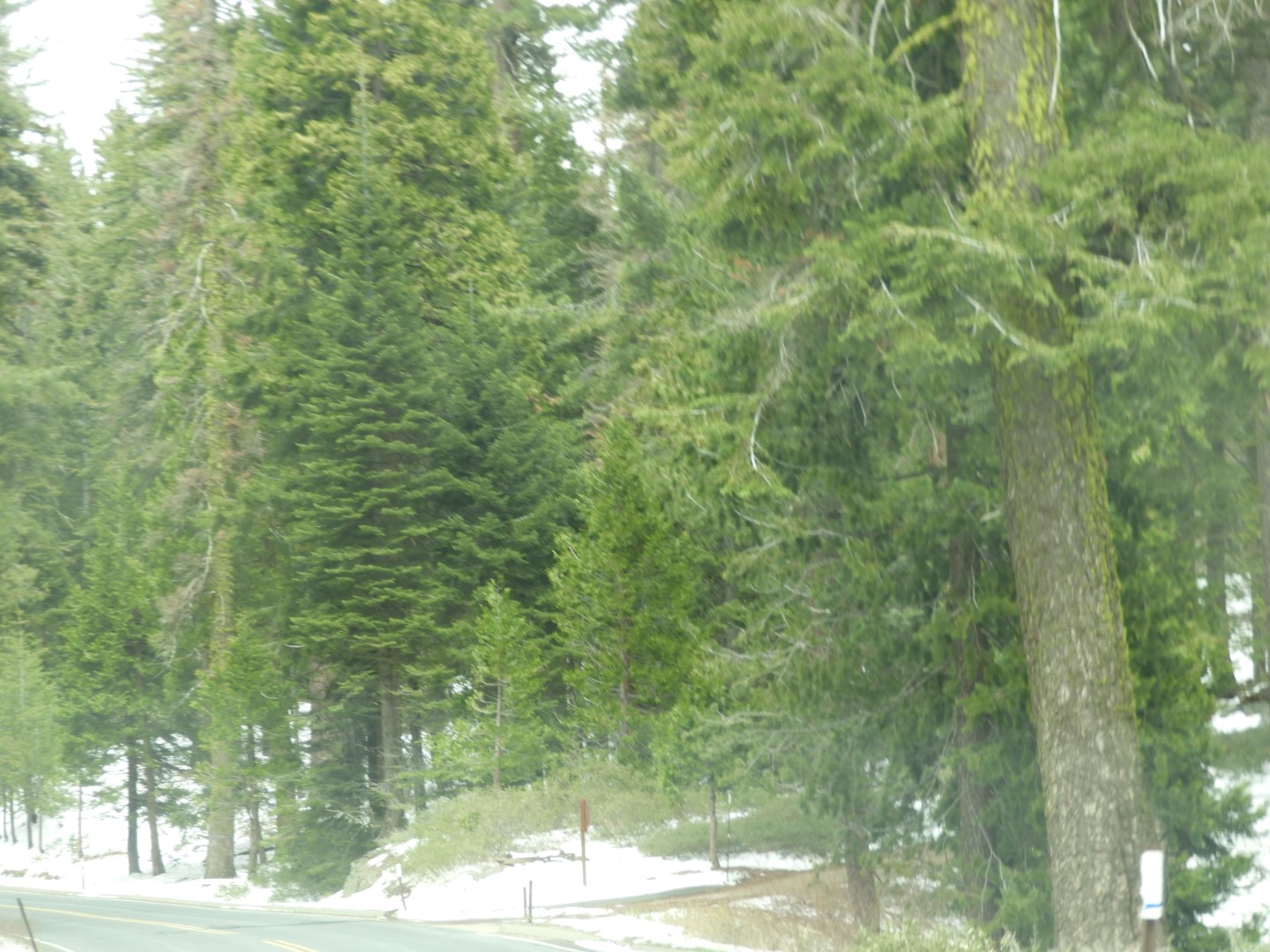 KIngs Canyon  7 of 15 (#3308)