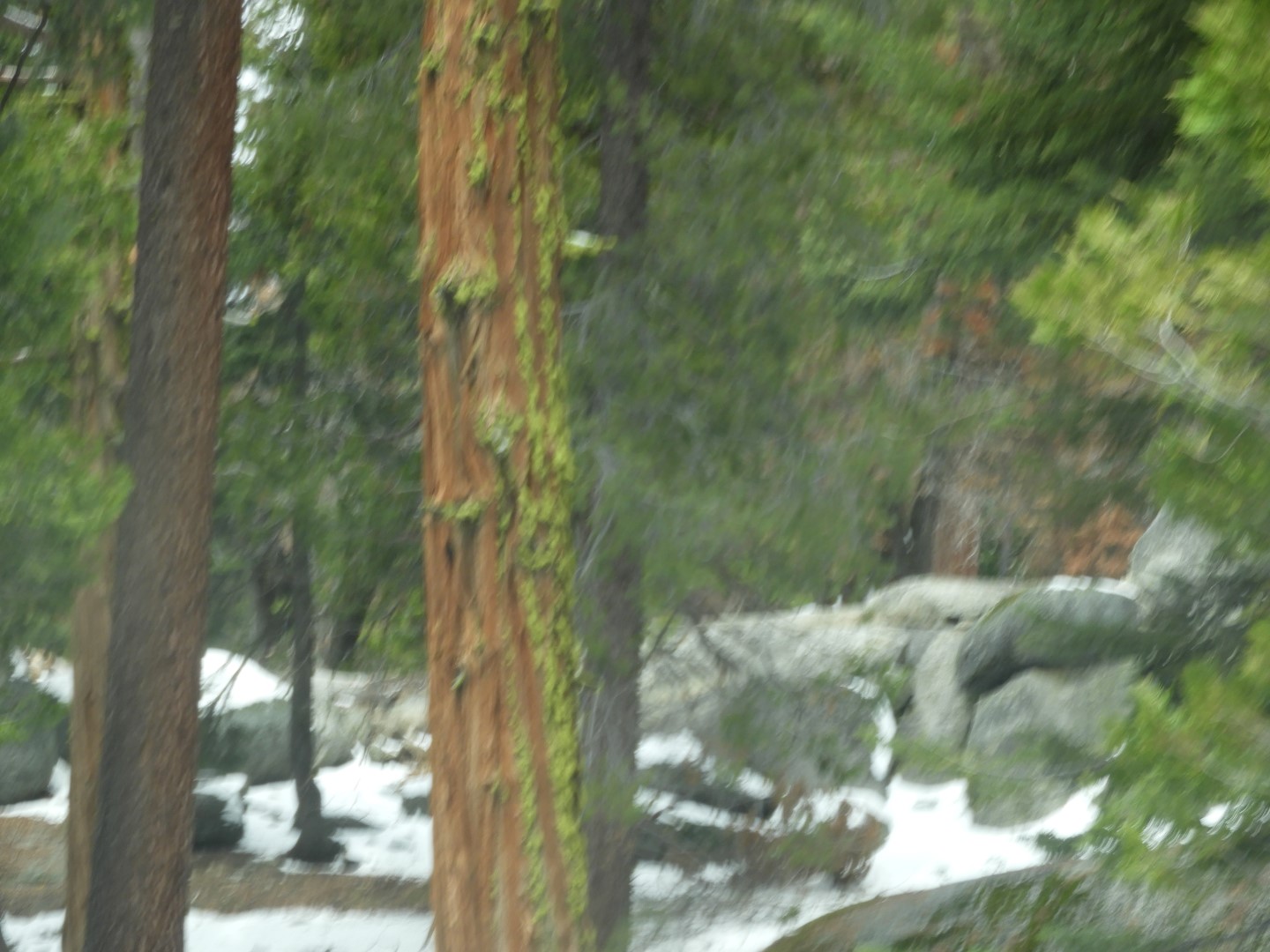 KIngs Canyon  8 of 15 (#3309)