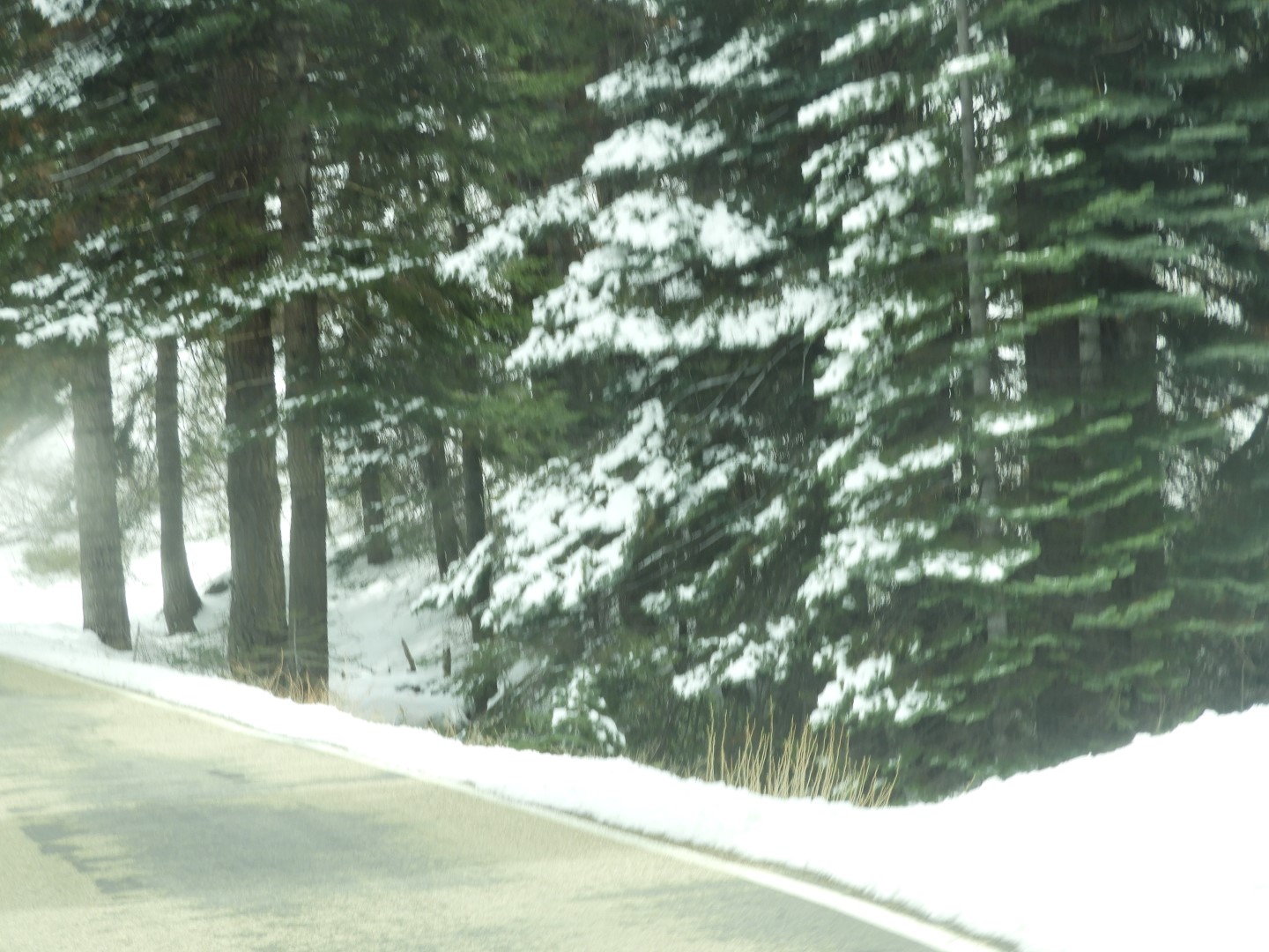 KIngs Canyon 13 of 15 (#3315)