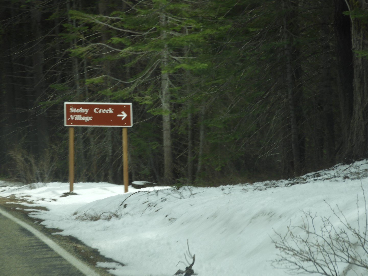 KIngs Canyon 15 of 15 (#3318)