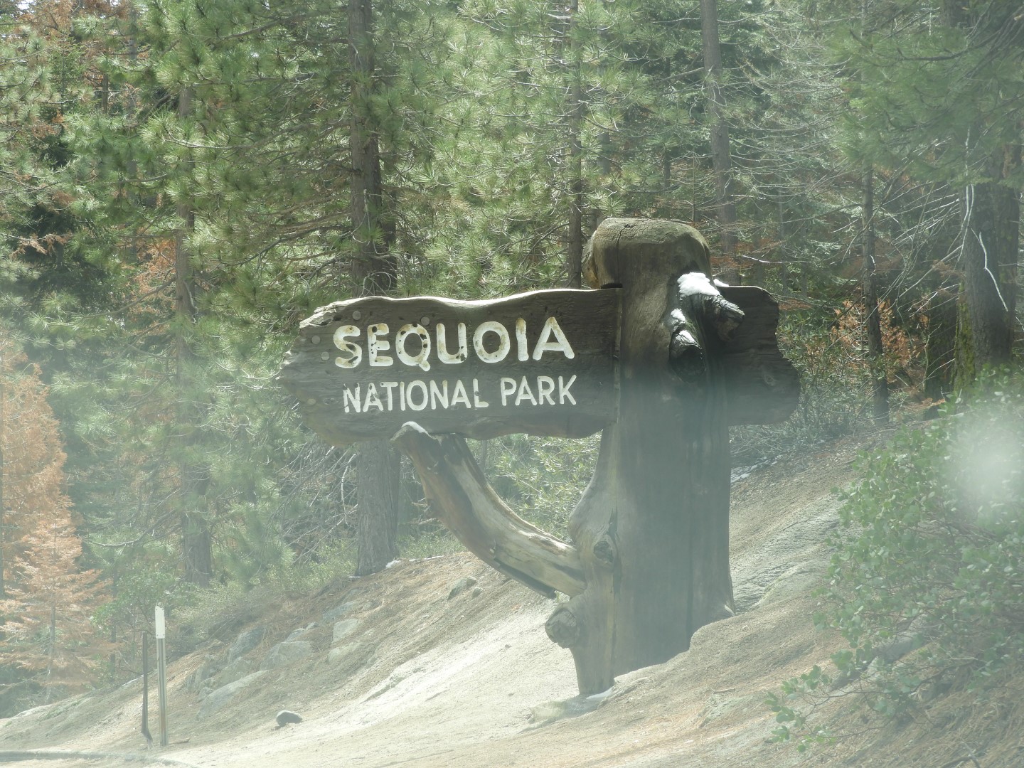 Sequoia National Park  1 of  9 (#3319)