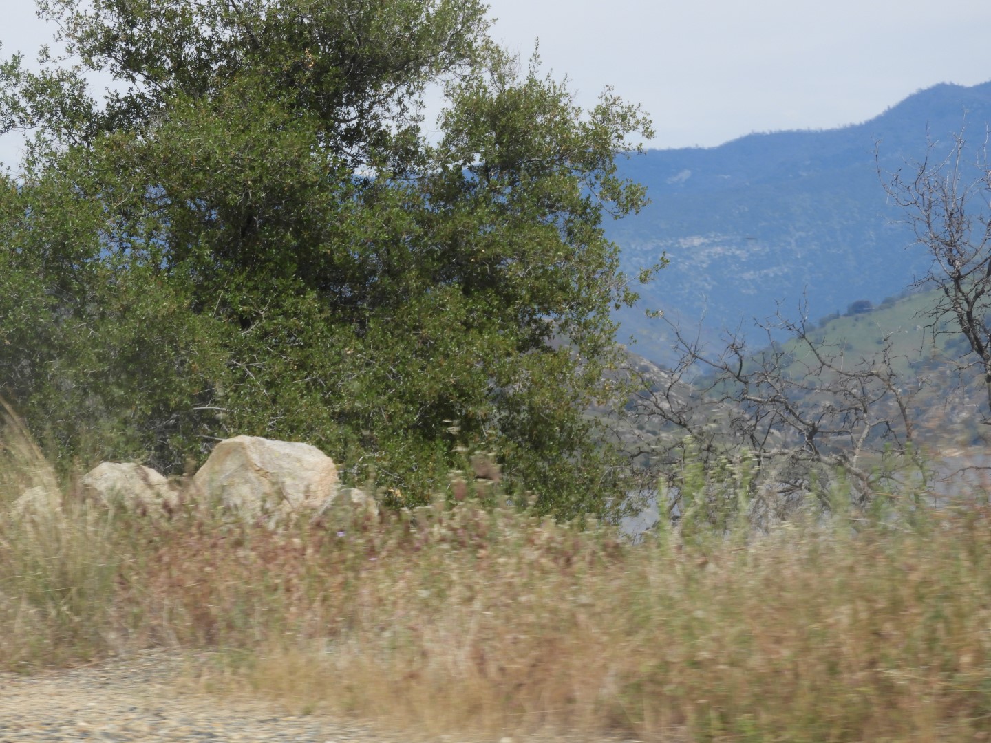Mountains along highway 65 south to Bakersfield  3 of  3 (#3338)