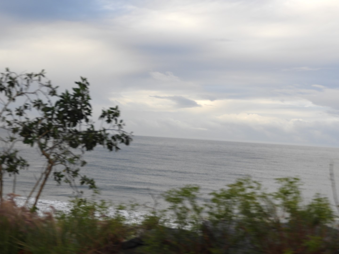 Pepperdine University  7 of  8 (#3373)