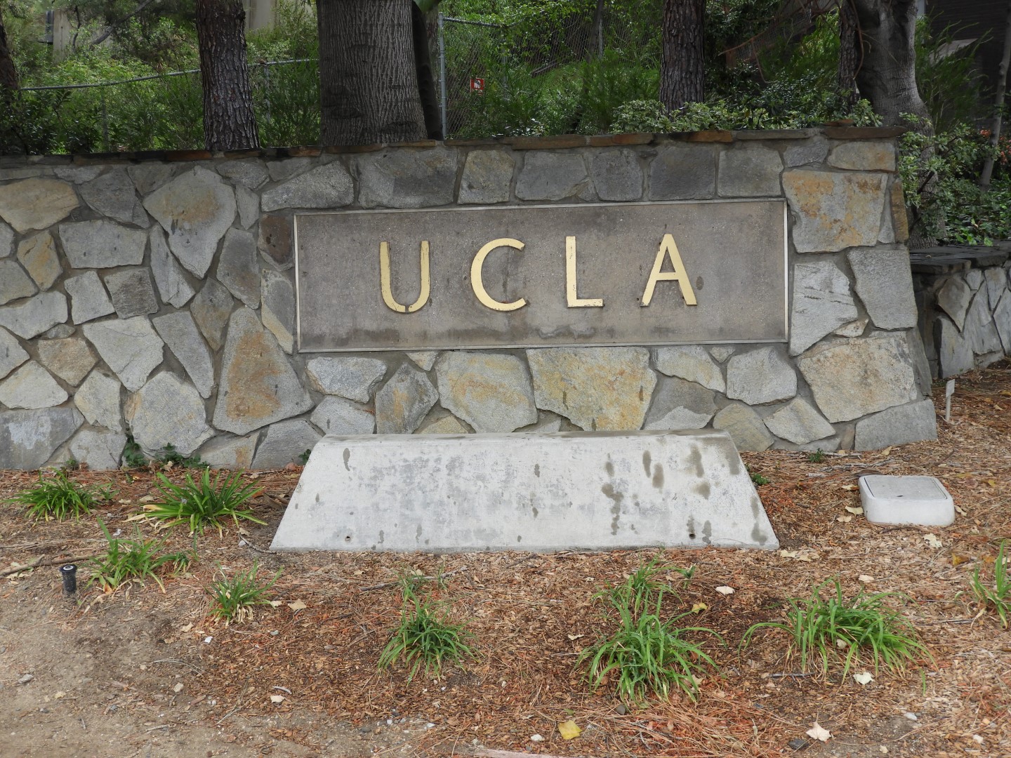 University California-Los Angeles (UCLA)  1 of  8 (#3381)