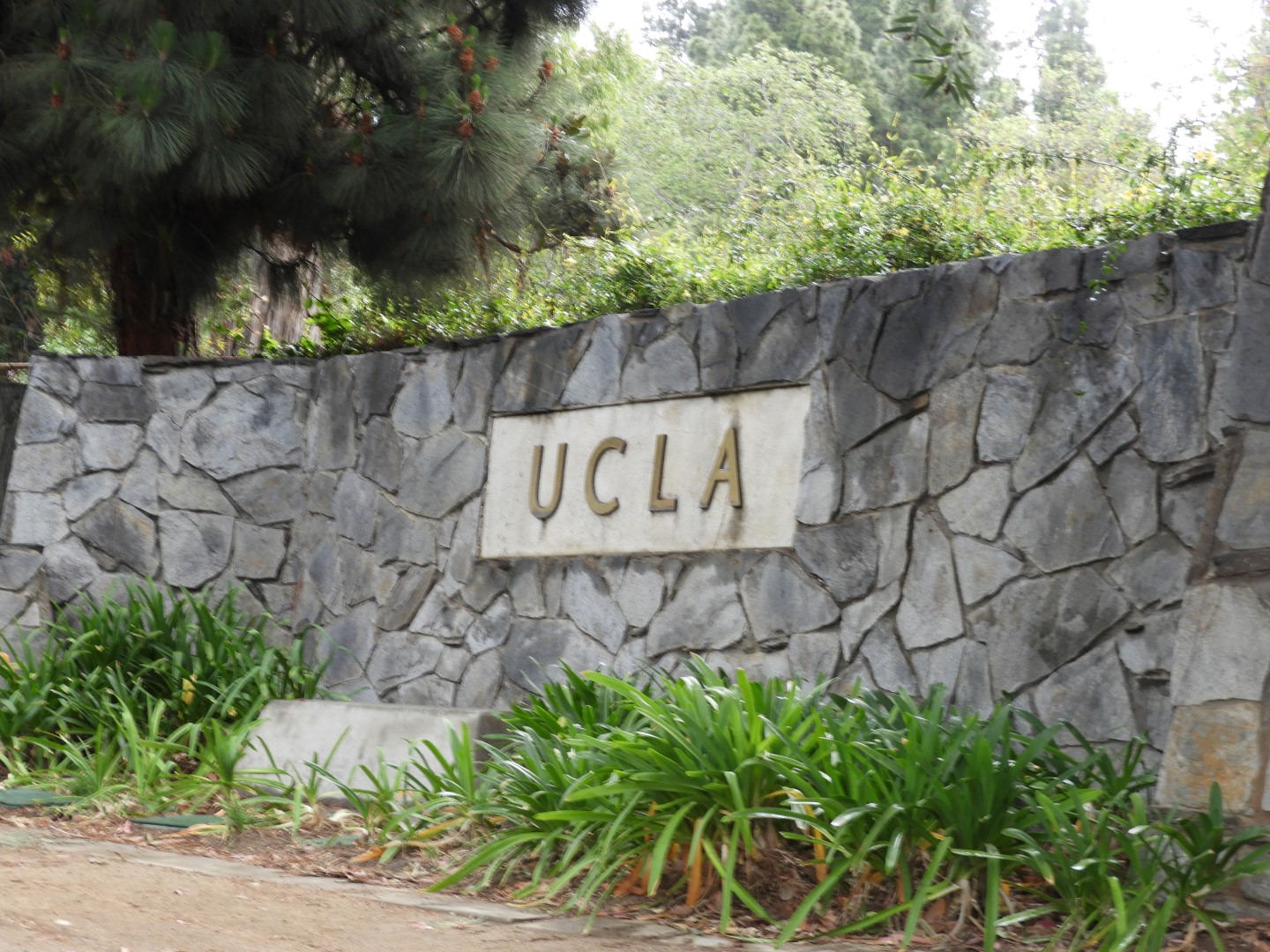 University California-Los Angeles (UCLA)  2 of  8 (#3382)
