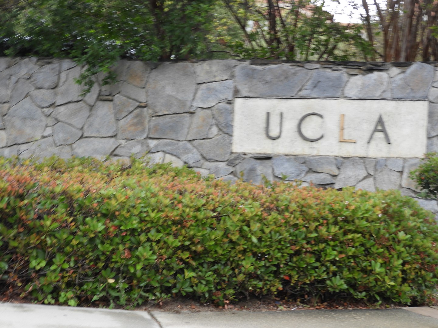 University California-Los Angeles (UCLA)  5 of  8 (#3386)