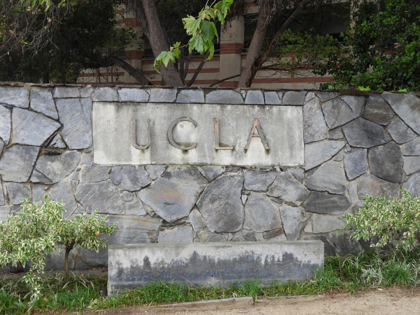 University California-Los Angeles (UCLA)  6 of  8 (#3387)