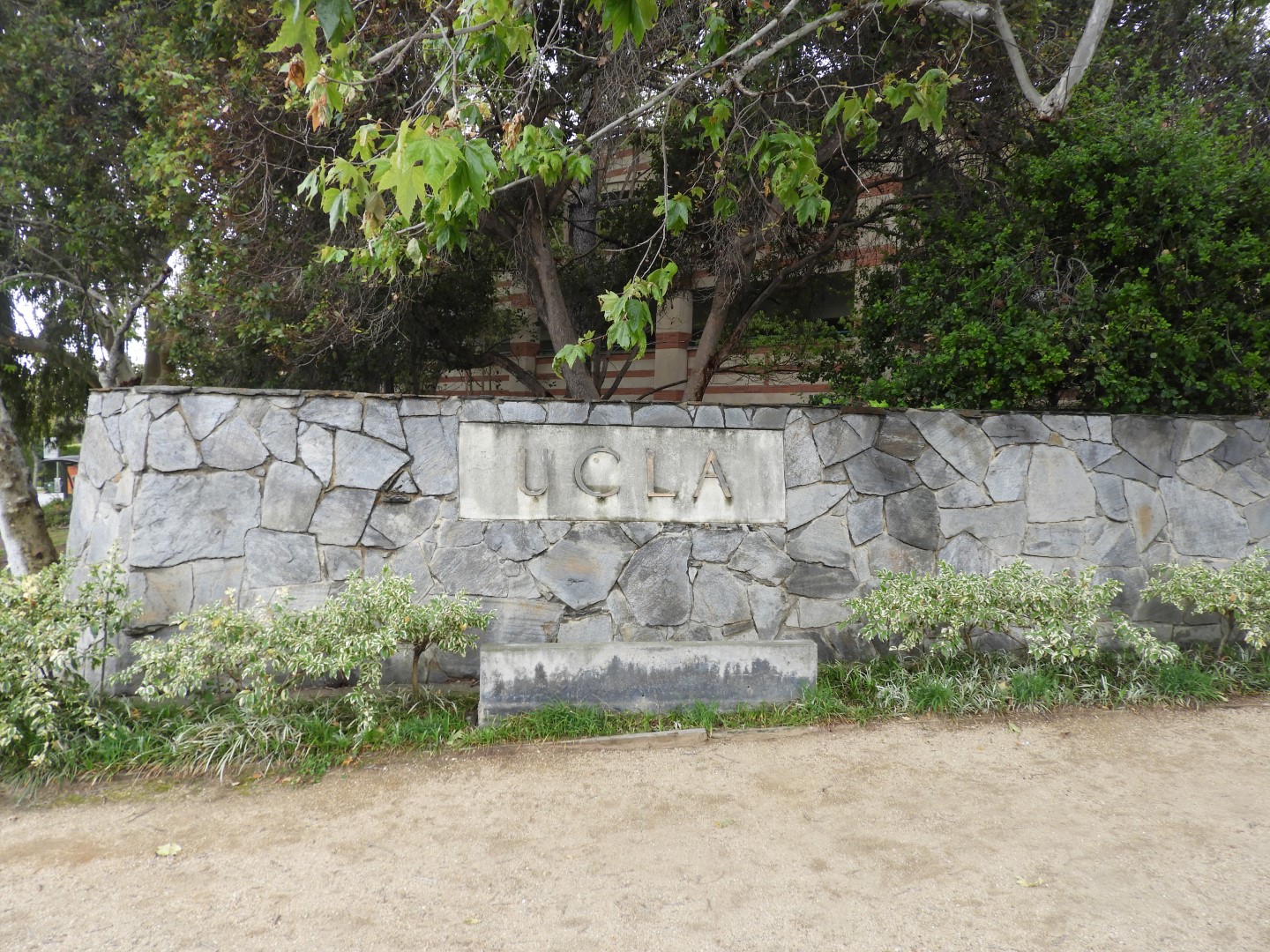 University California-Los Angeles (UCLA)  7 of  8 (#3388)