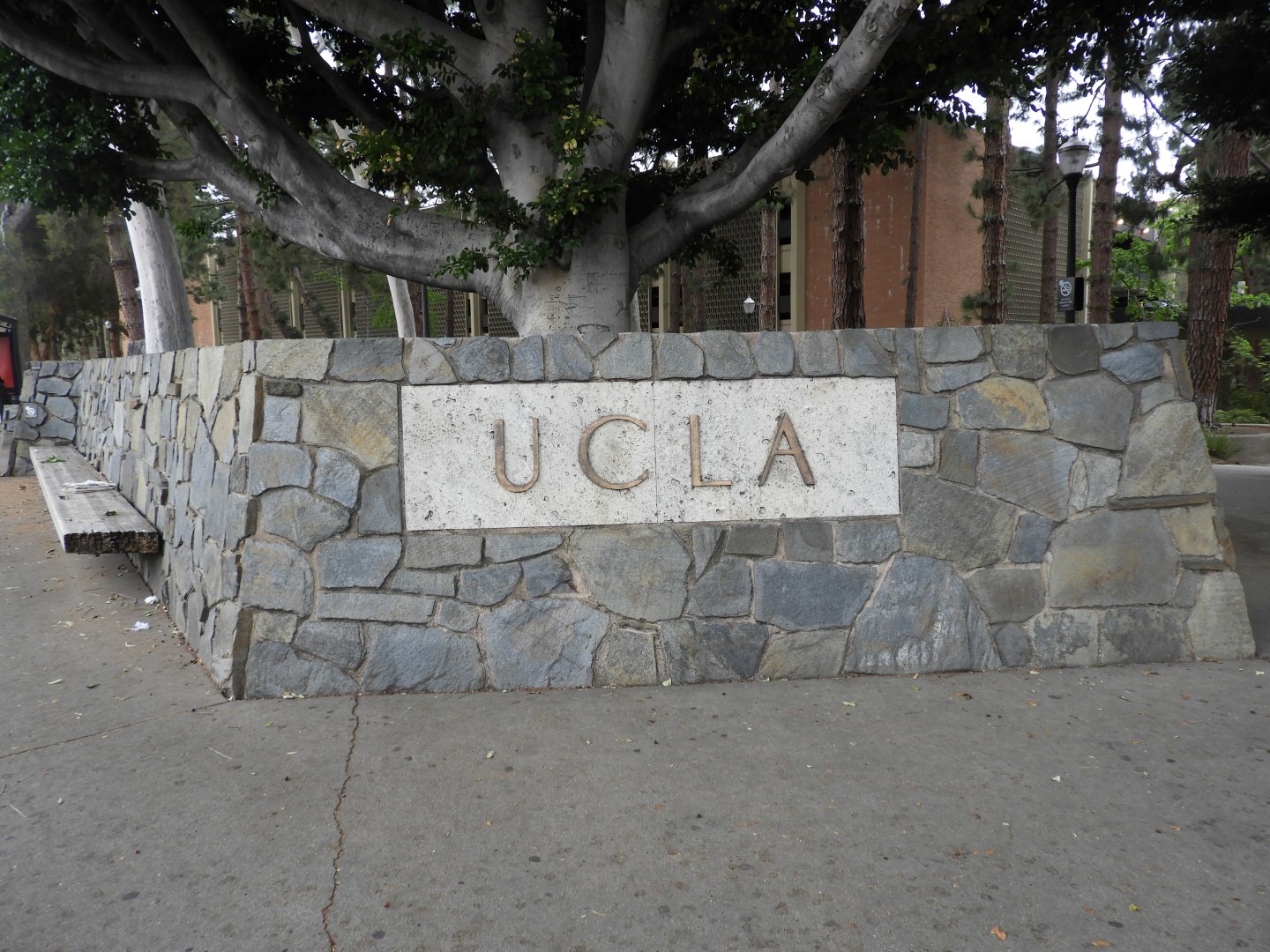 University California-Los Angeles (UCLA)  8 of  8 (#3389)