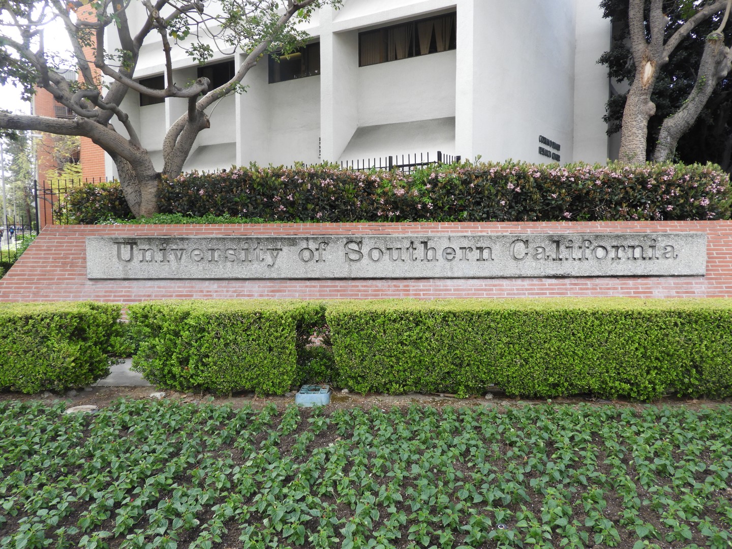 University Southern California (USC)  7 of  8 (#3398)