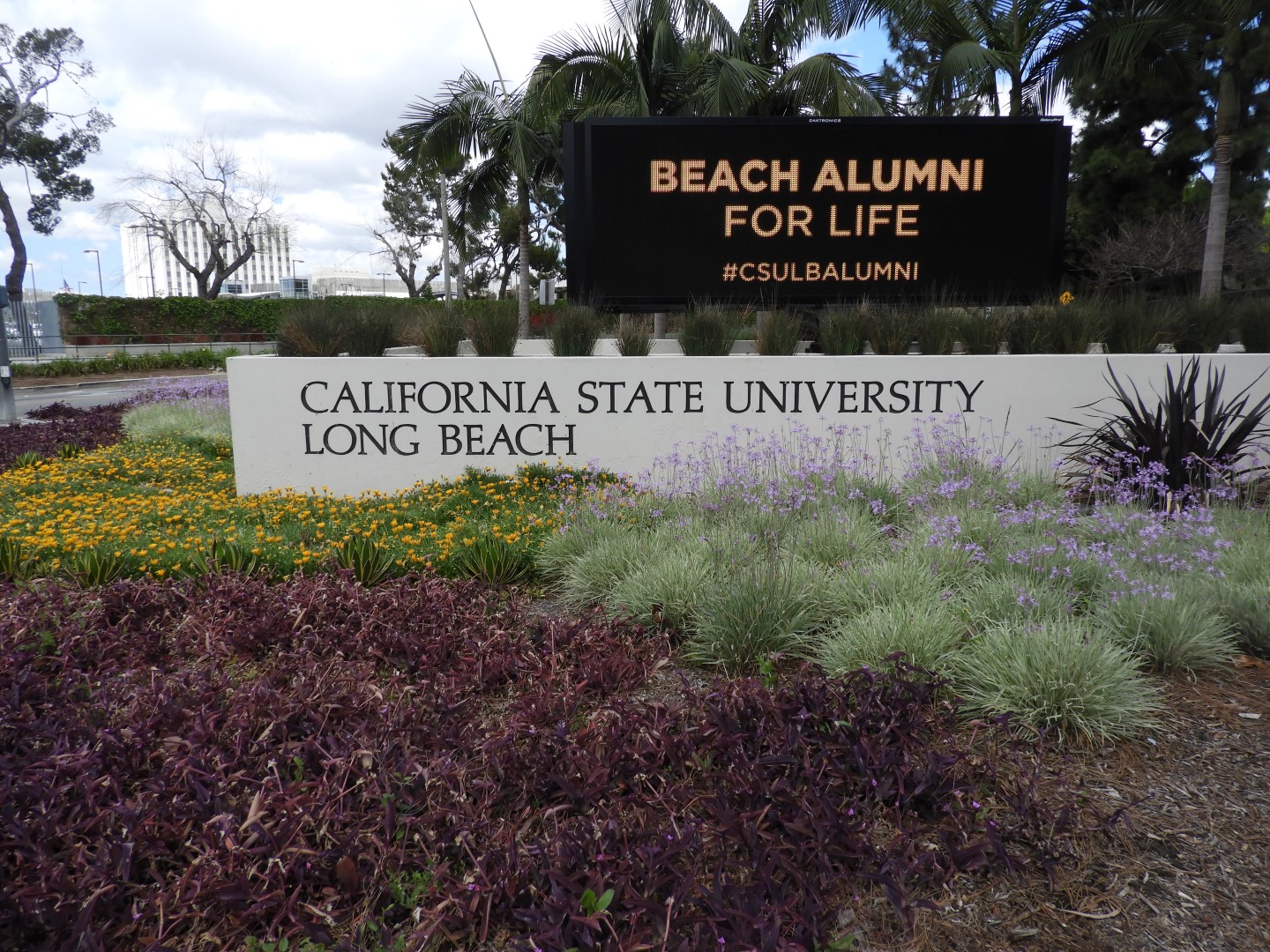 California State University-Long Beach  2 of  7 (#3416)