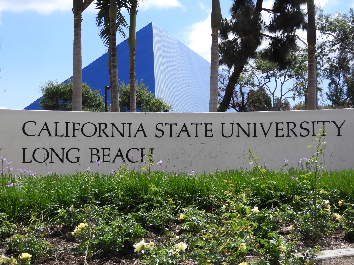 California State University-Long Beach  4 of  7 (#3418)