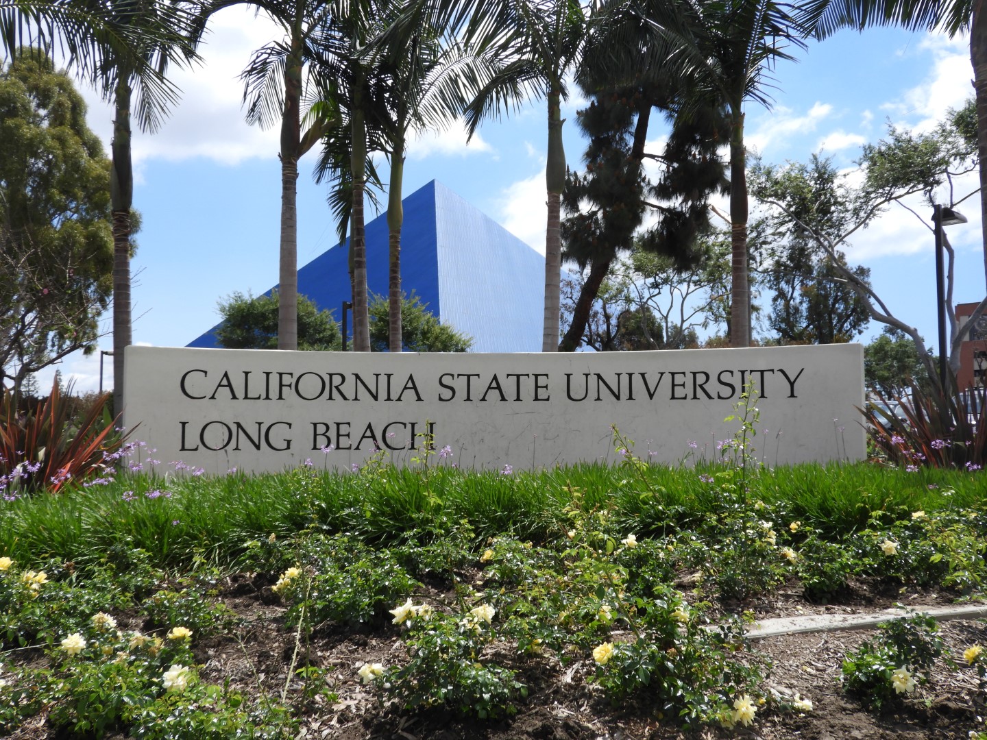 California State University-Long Beach  5 of  7 (#3419)