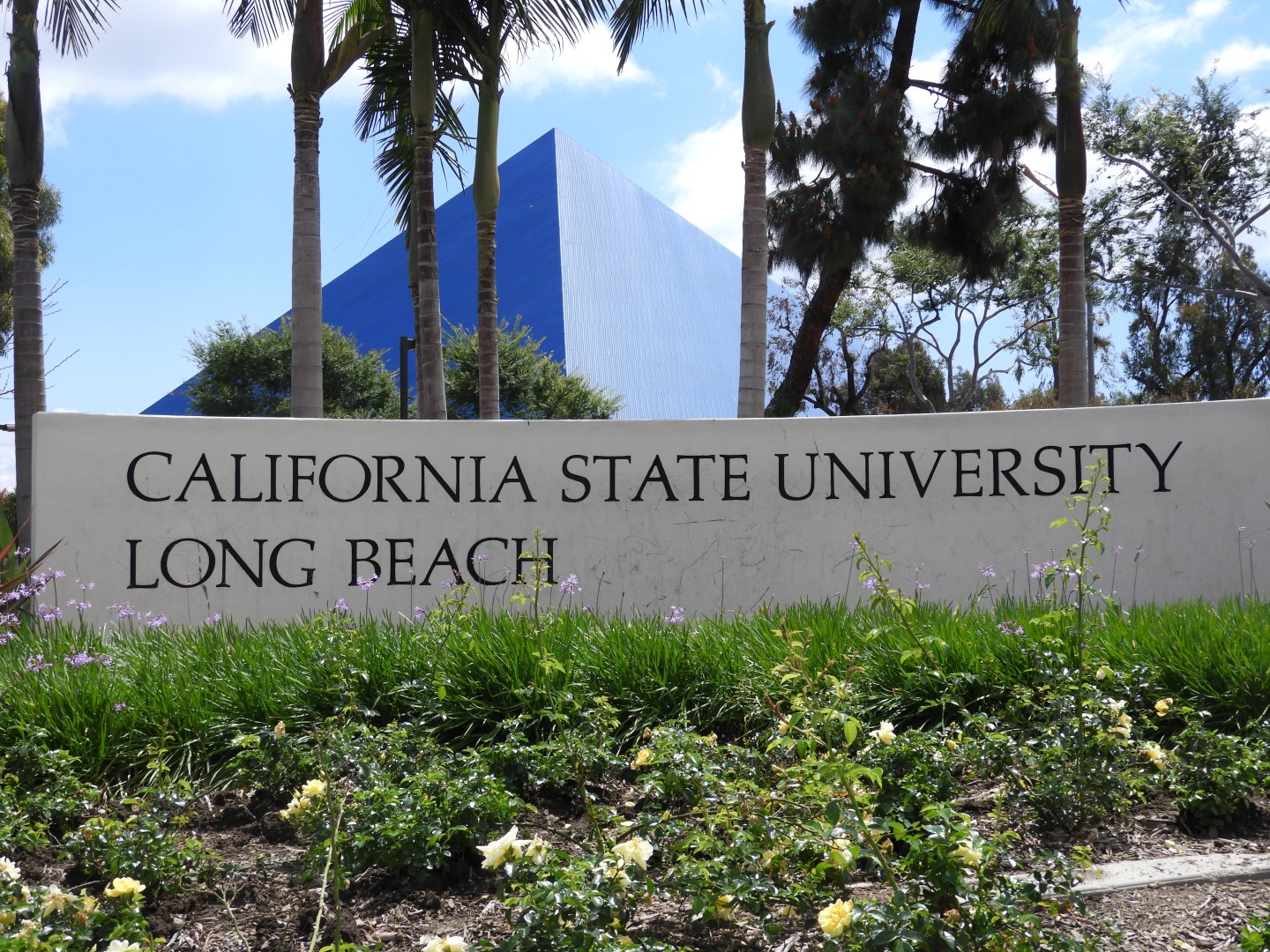 California State University-Long Beach  6 of  7 (#3420)