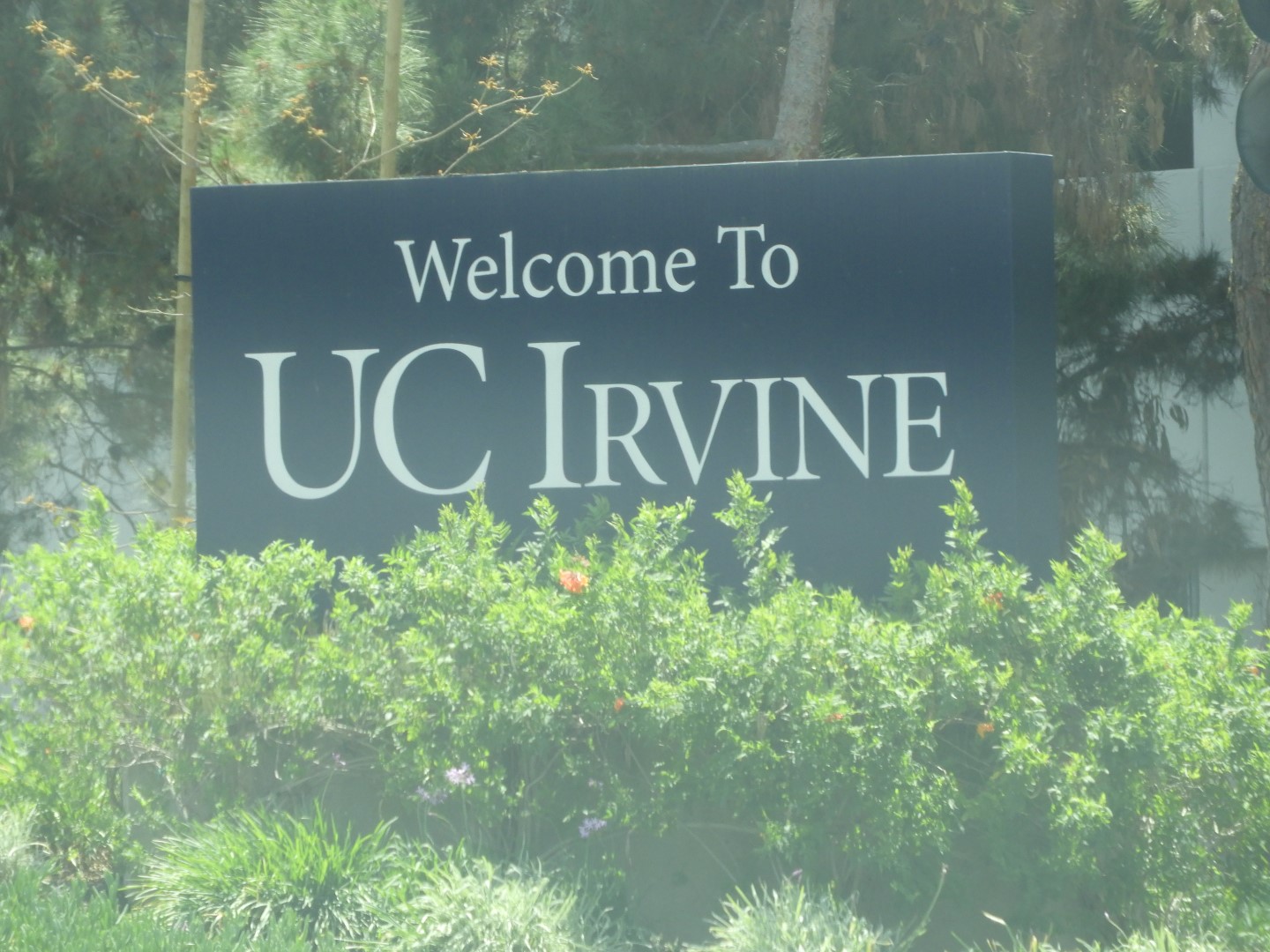 University California-Irvine  2 of  4 (#3424)