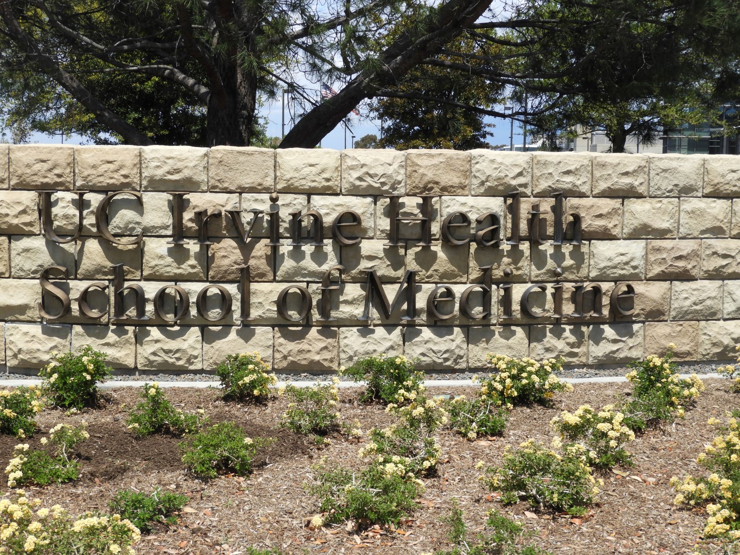 University California-Irvine  4 of  4 (#3426)