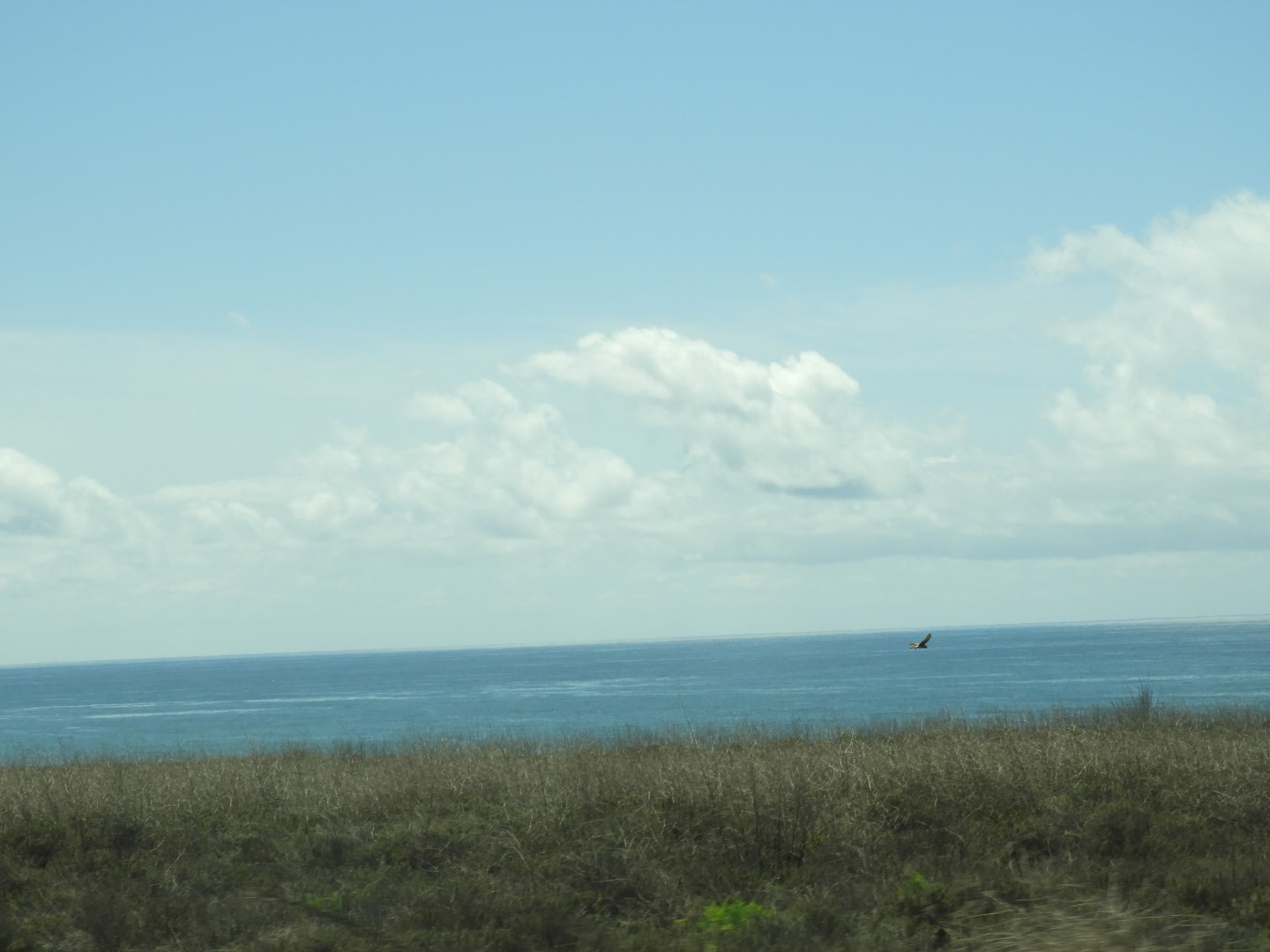 Ocean on the way to San Diego  2 of  3 (#3428)