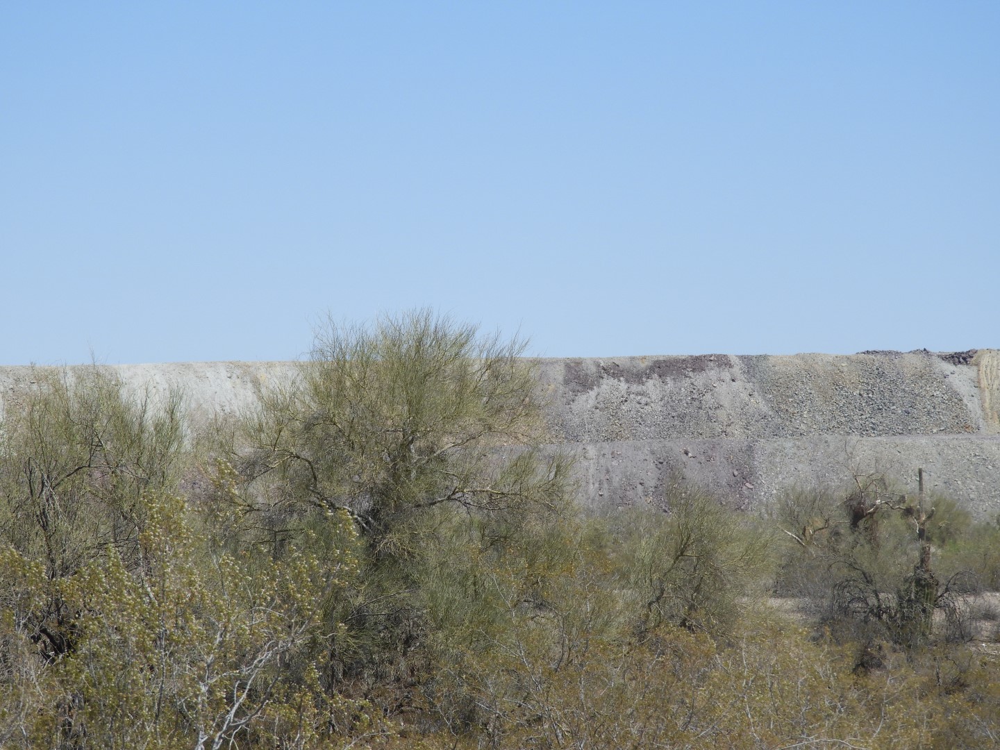 Organ Pipe Cactus Wilderness 14 of 16 (#3521)