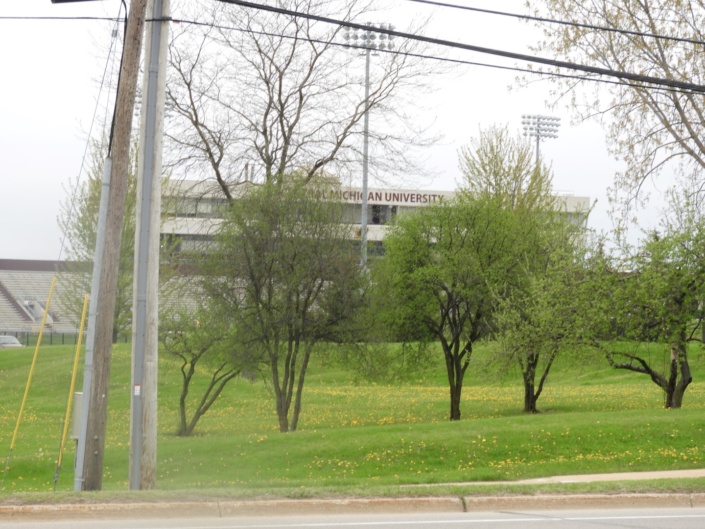 Central Michigan University in Mount Pleasant MI  4 of  4 (#4628)