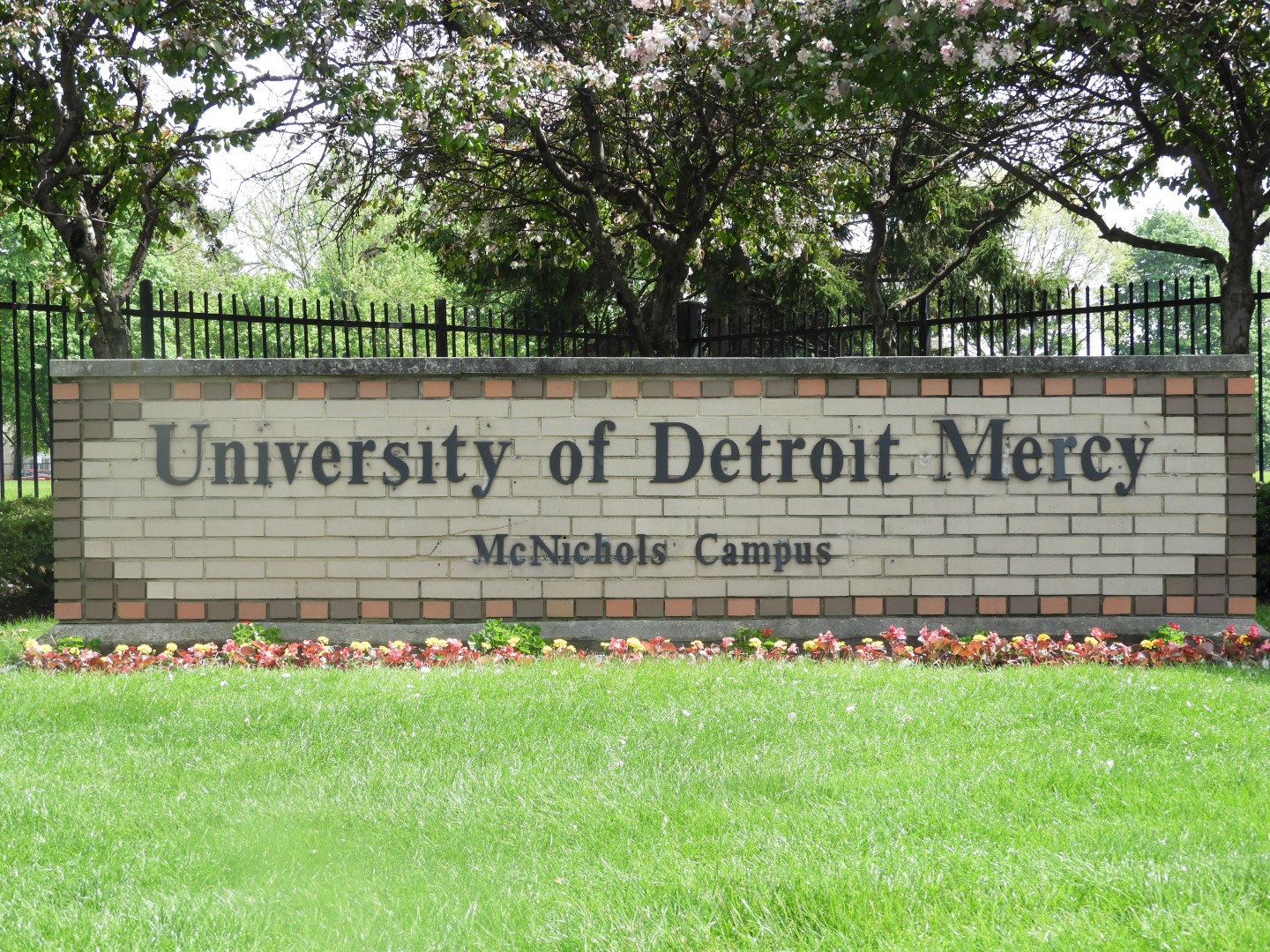 Detroit Mercy University  1 of  3 (#4634)