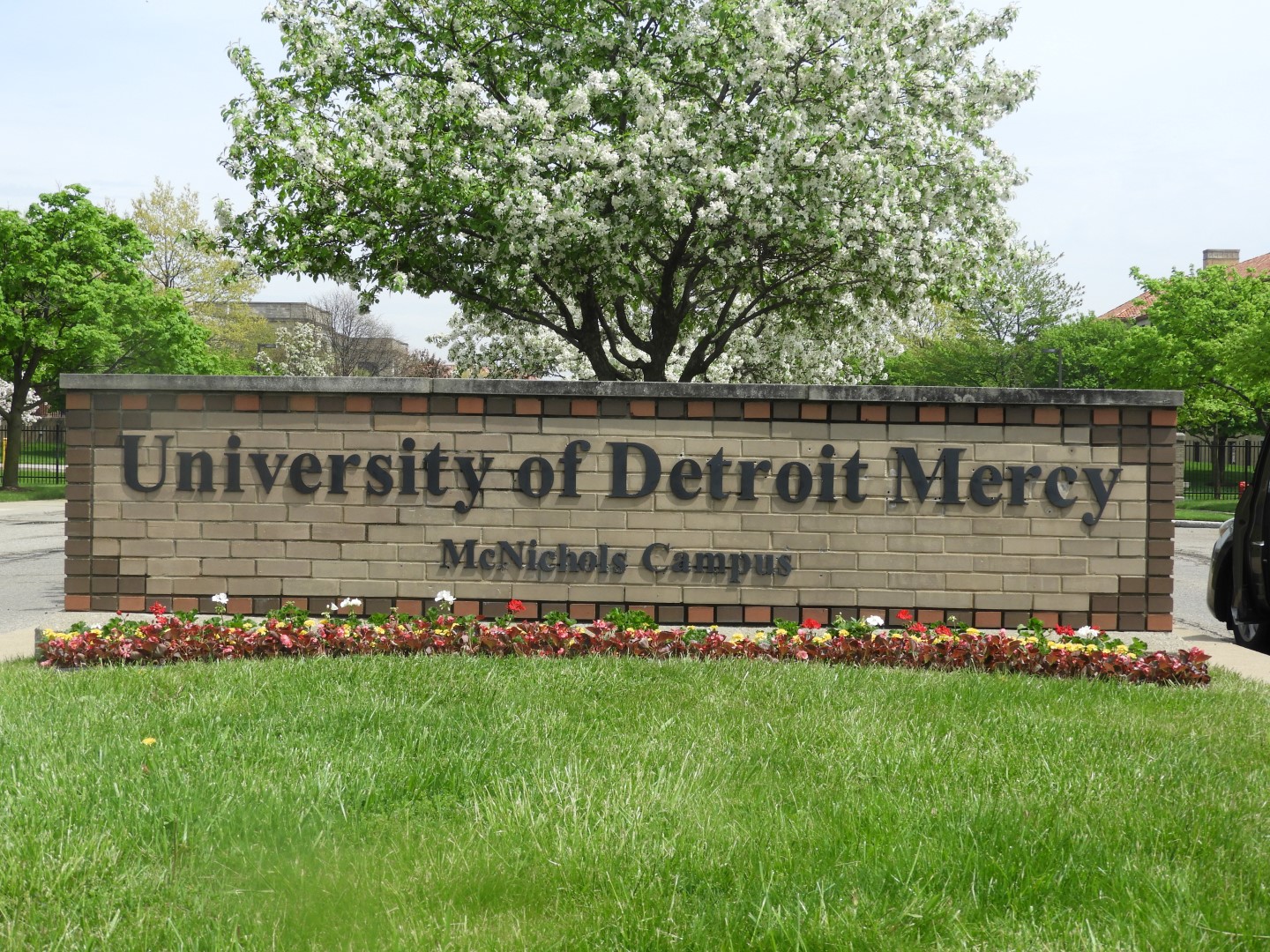 Detroit Mercy University  2 of  3 (#4635)