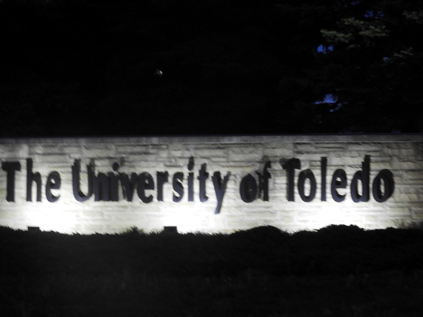 Toledo University  2 of  6 (#4654)