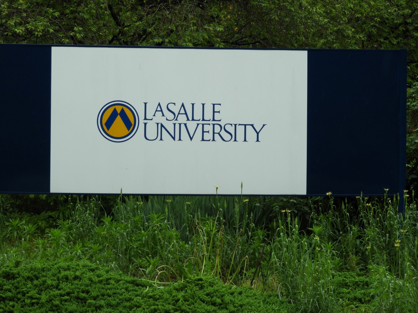 LaSalle University in Philadelphia  3 of  6 (#4778)