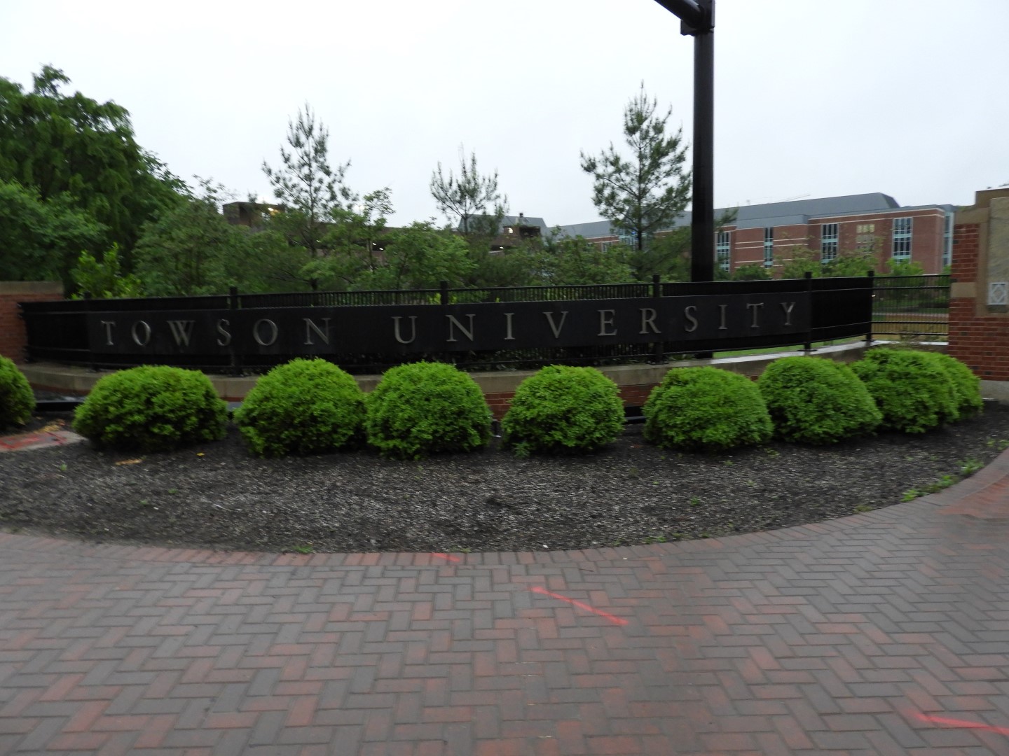 Towson University in Baltimore  2 of  4 (#4878)