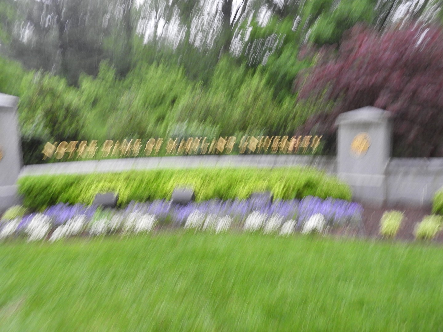 Notre Dame of Maryland in Baltimore  3 of  3 (#4881)