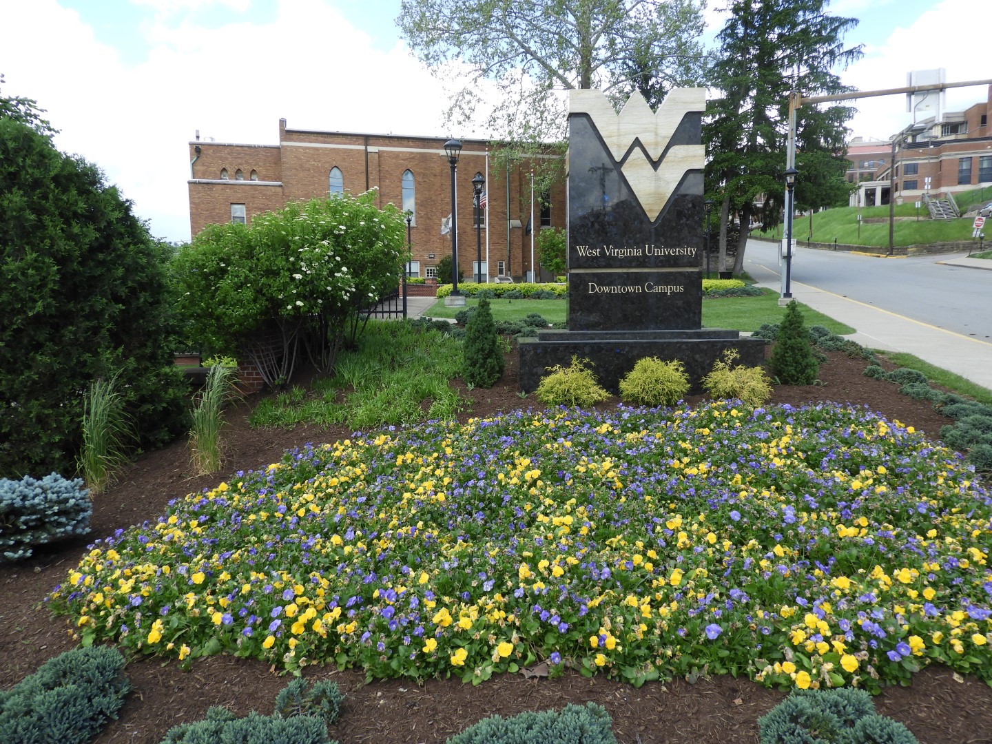 University of West Virginia in Morgantown  4 of  4 (#4950)