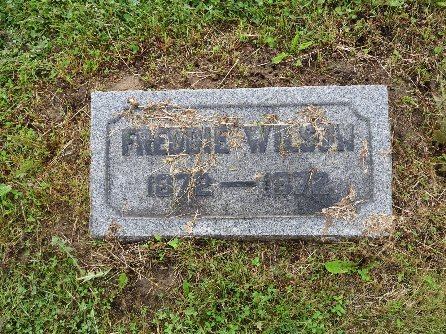 Greenwood Cemetery in Zanesville OH  5 of  5 (#4994)