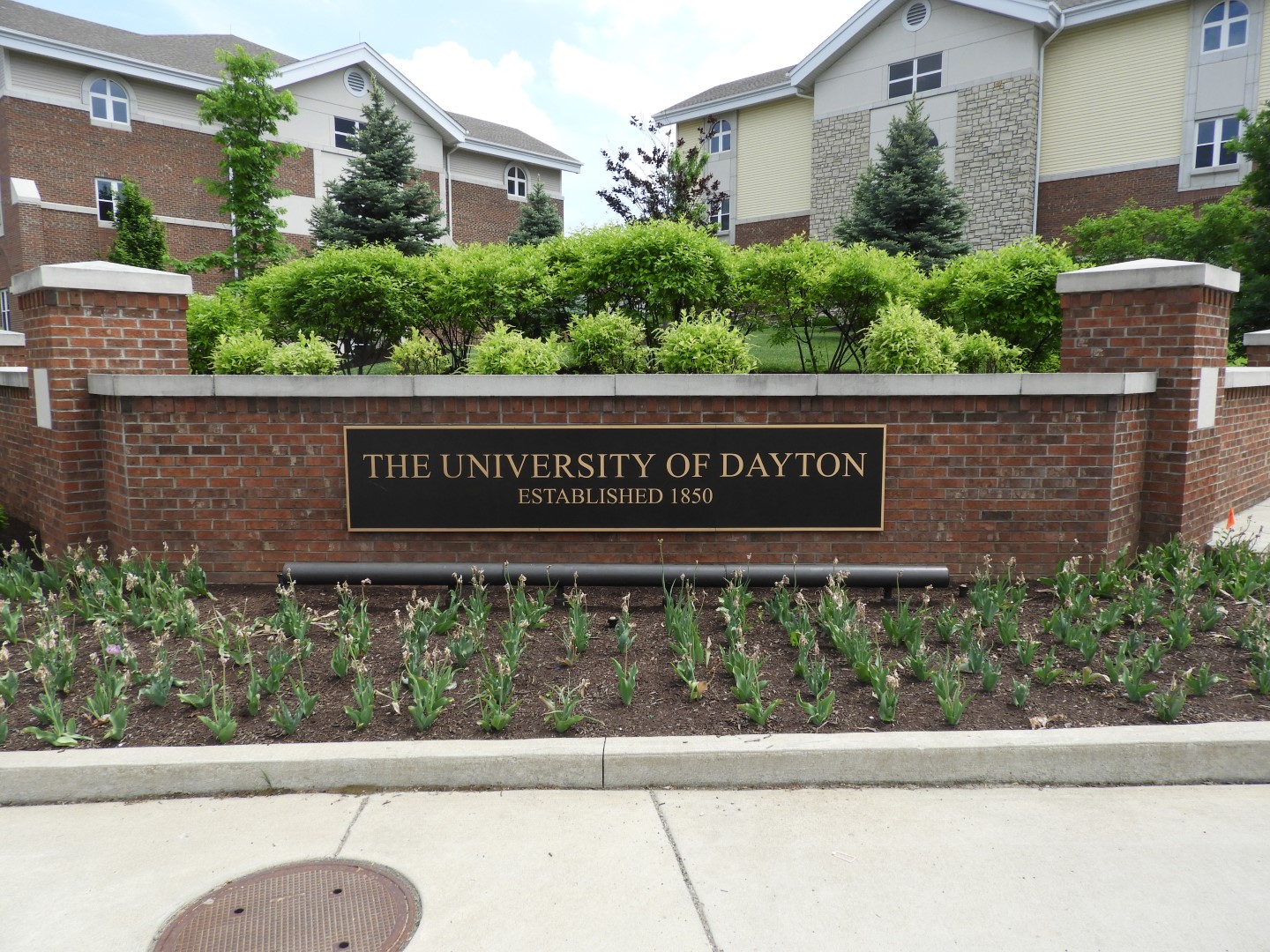 University of Dayton  3 of  4 (#5041)
