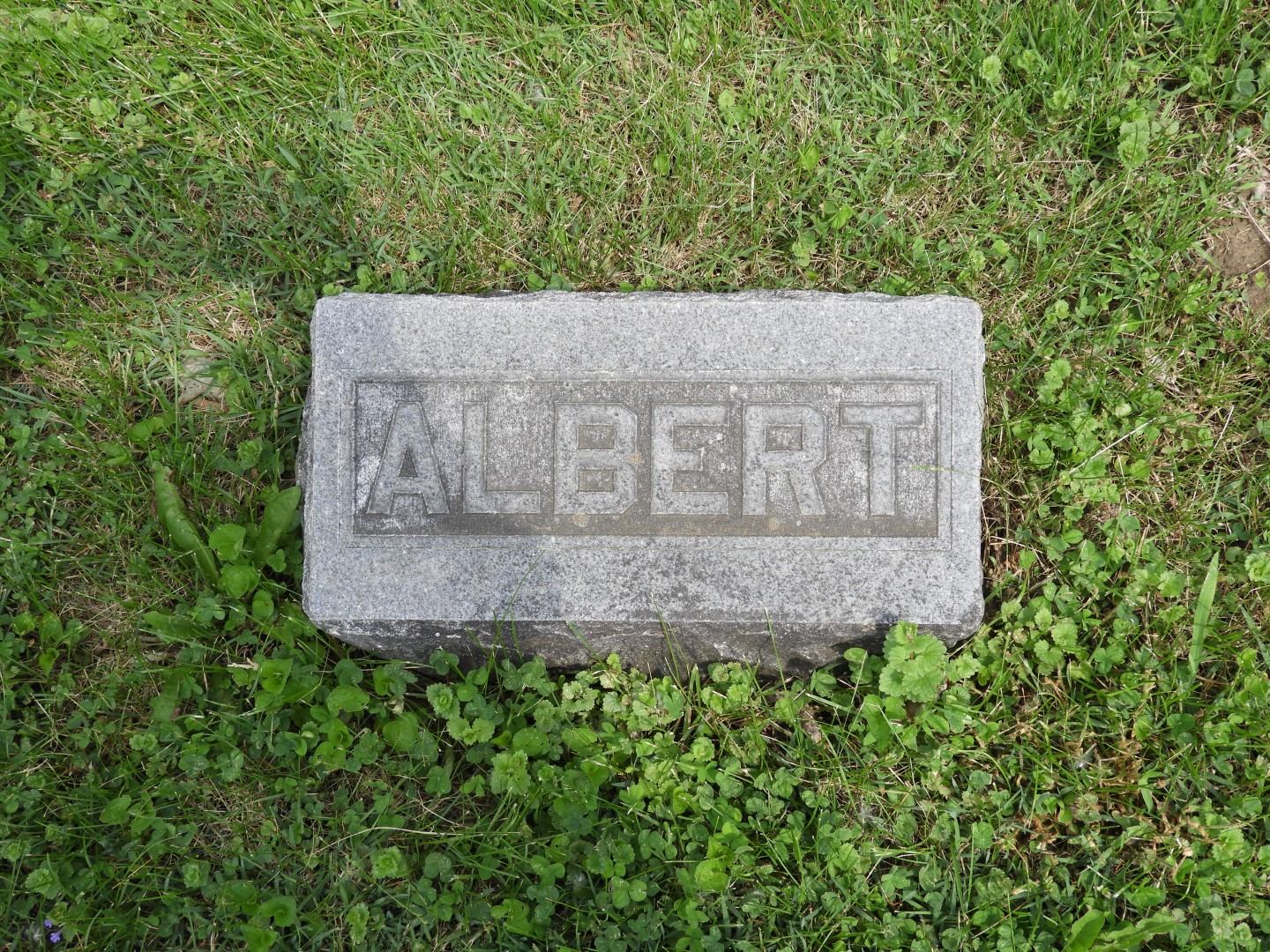 Woodland Cemetery in Xenia OH -- Wilsons in Section G  5 of 11 (#5047)