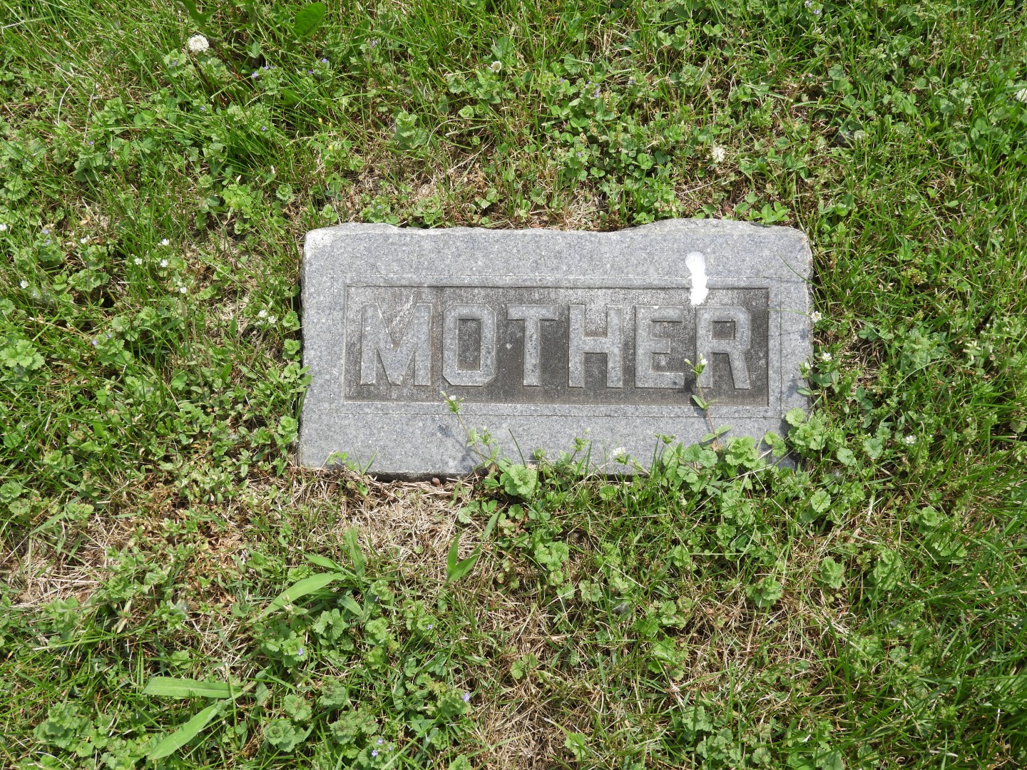 Woodland Cemetery in Xenia OH -- Wilsons in Section G  6 of 11 (#5048)