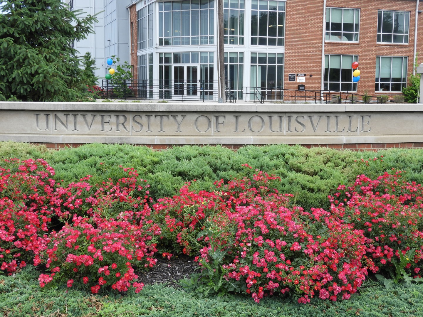 University of Louisville KY  7 of  8 (#5104)